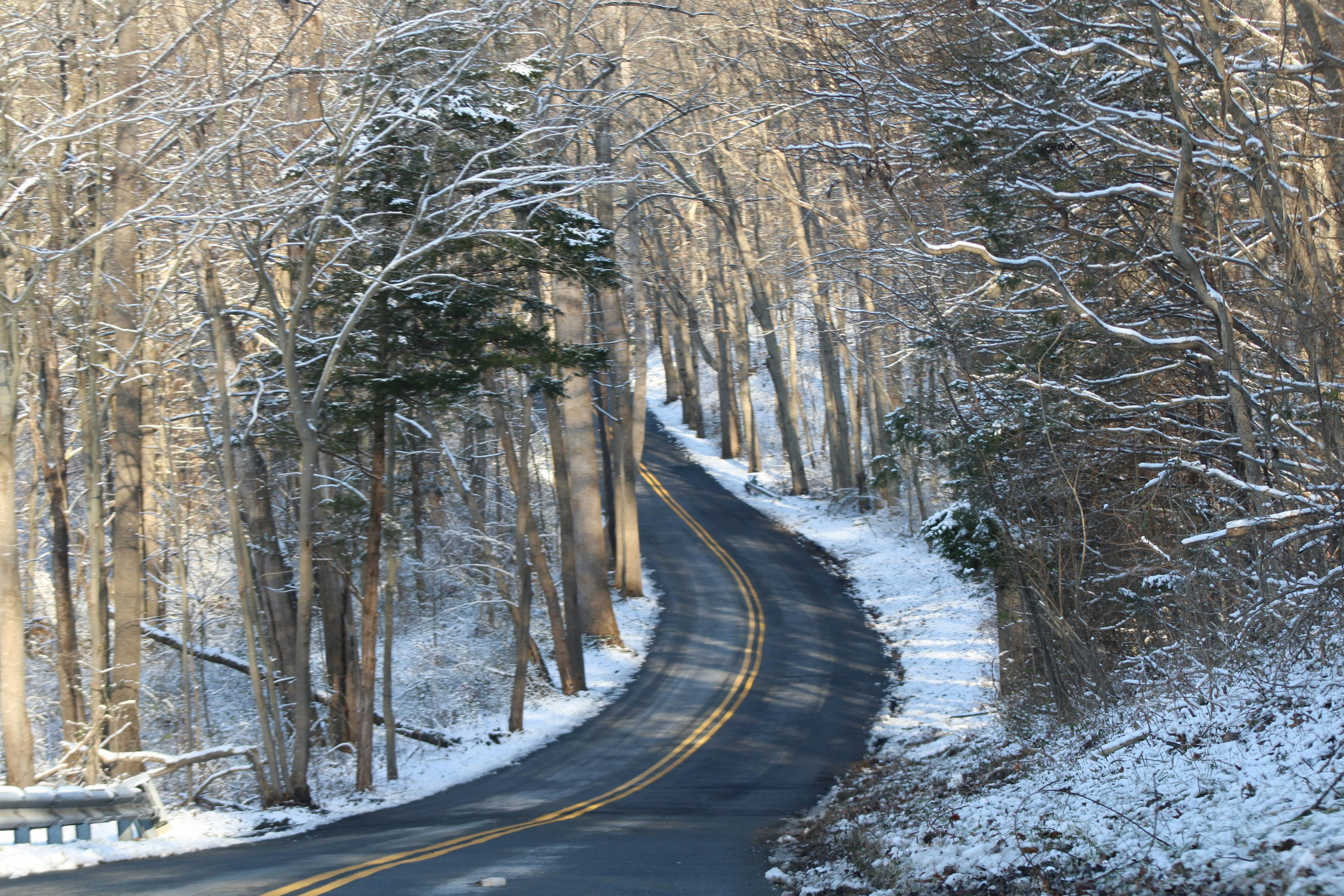 Photo by charles_ray