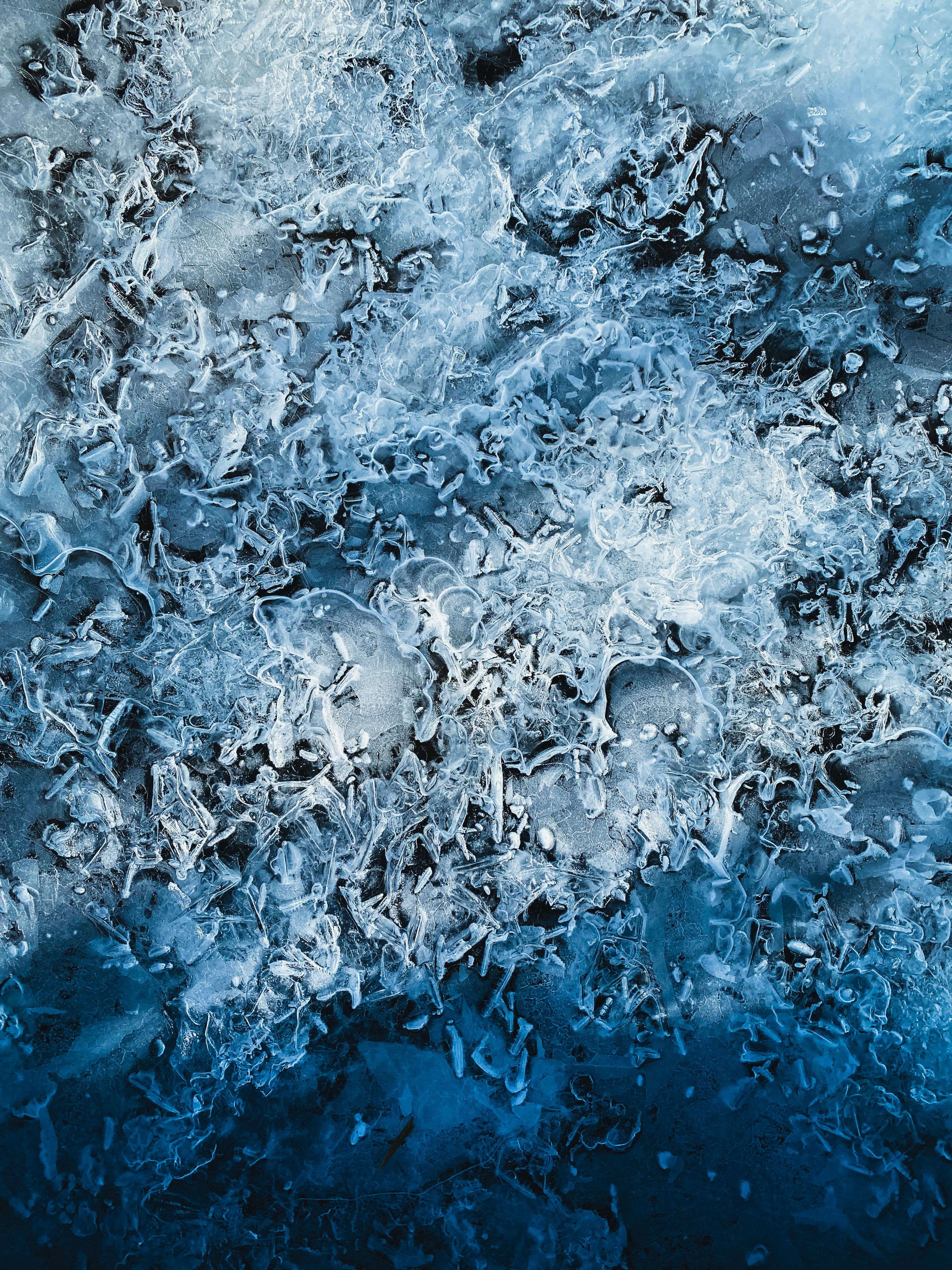 Photo by olyavelychenko