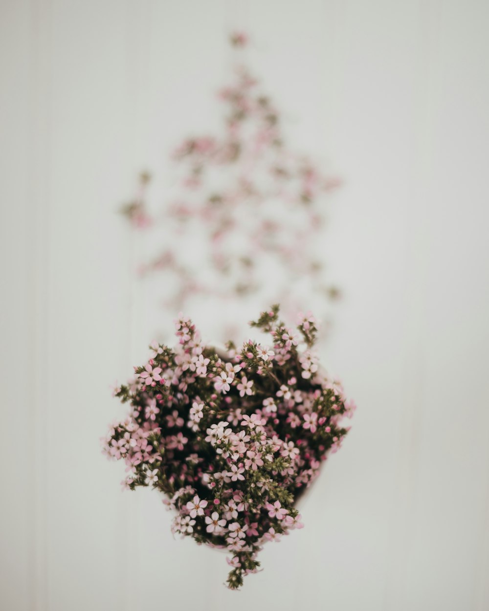 a bunch of small pink flowers in a vase