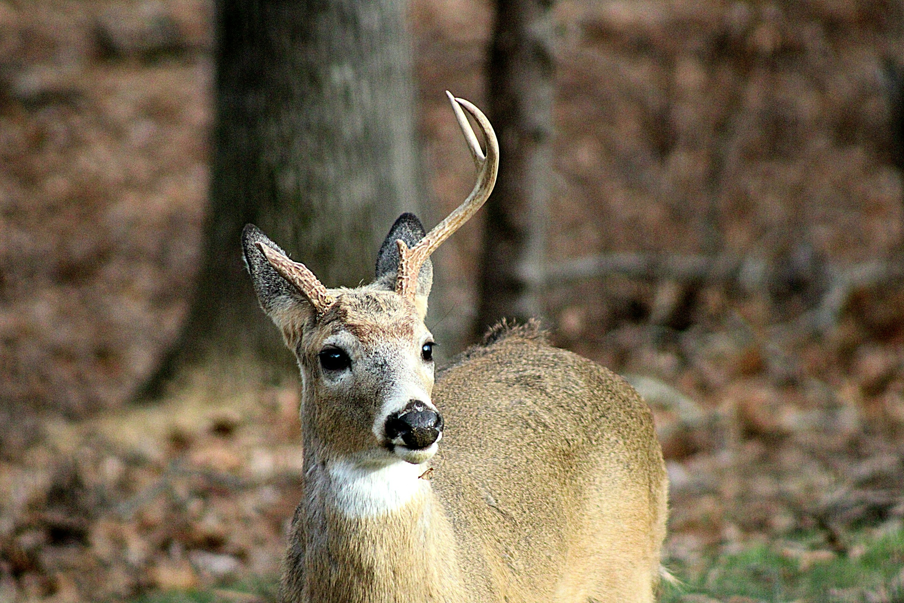 Photo by charles_ray