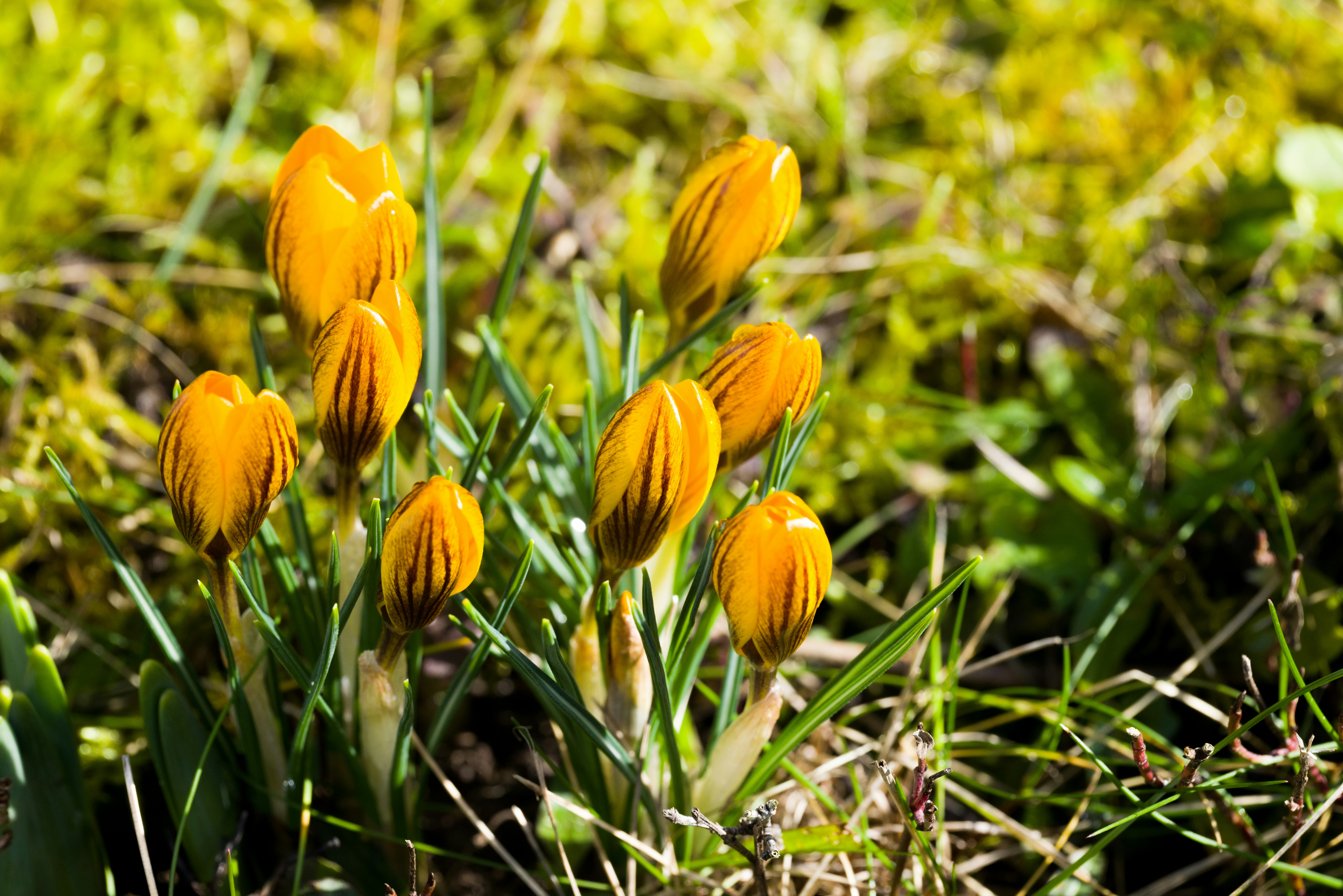 Photo by georgeiermann