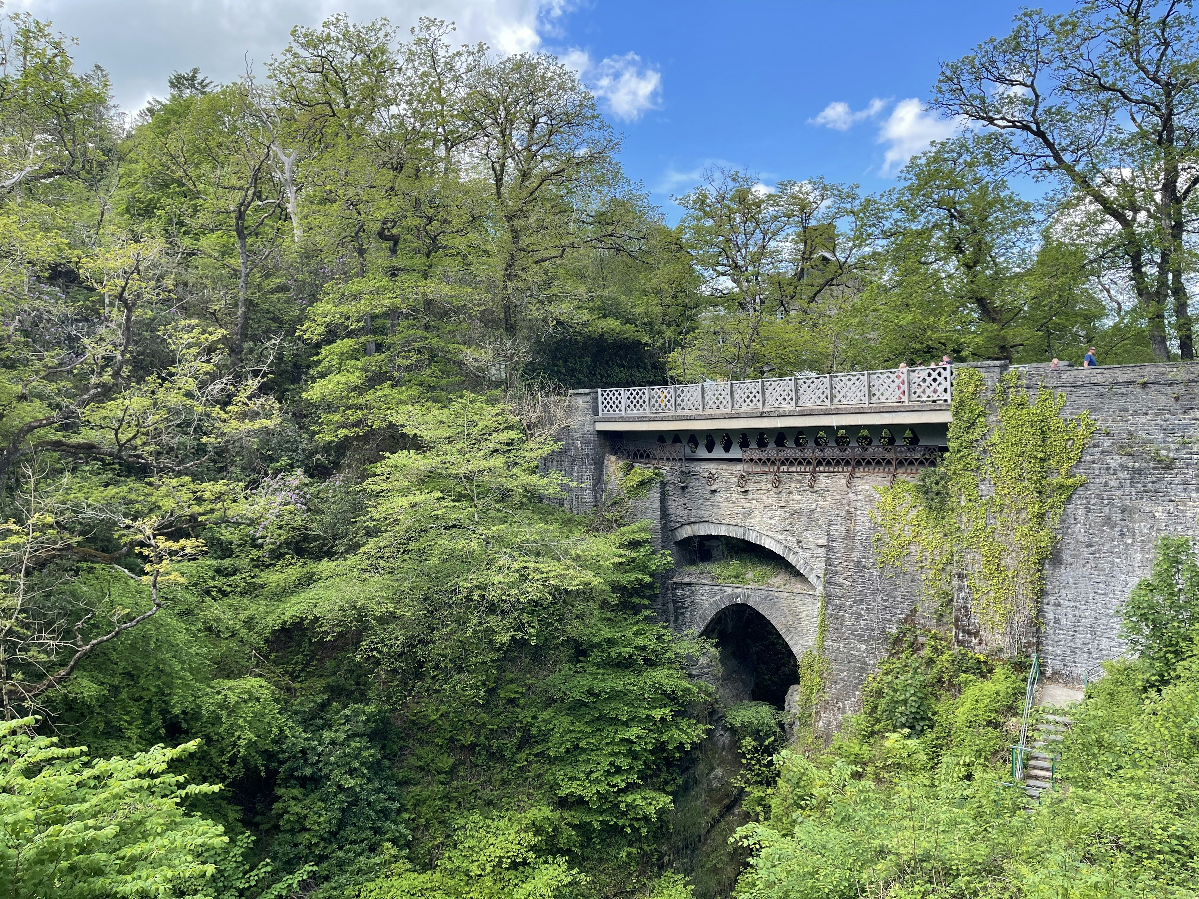 a bridge over a river surrounded by lush green trees