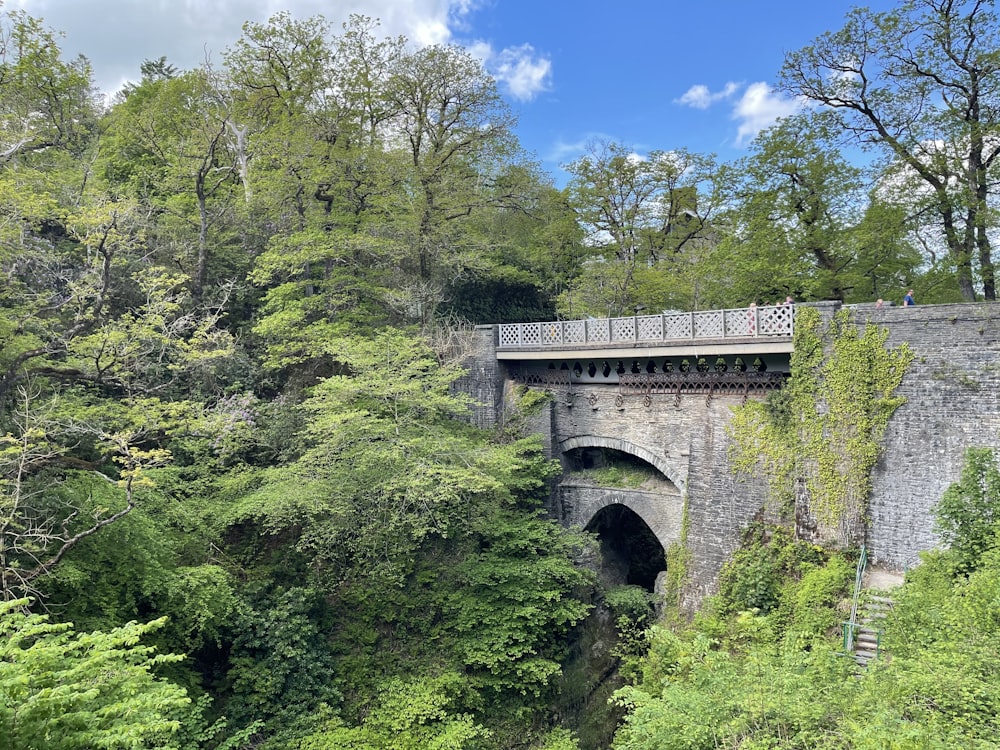 a bridge over a river surrounded by lush green trees