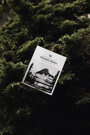 A printed newsletter titled 'Squawk News' is nestled among dense, lush green foliage. The cover features a black and white photograph of a rocky mountain landscape with snow patches.