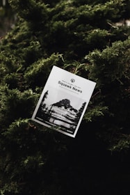 A printed newsletter titled 'Squawk News' is nestled among dense, lush green foliage. The cover features a black and white photograph of a rocky mountain landscape with snow patches.