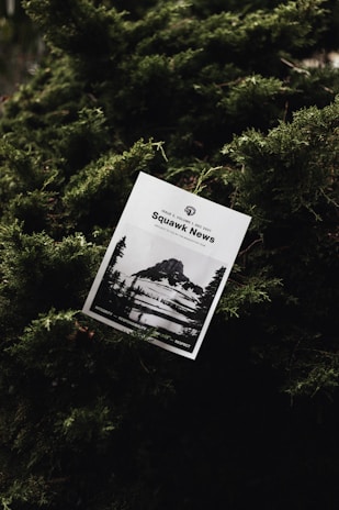 A printed newsletter titled 'Squawk News' is nestled among dense, lush green foliage. The cover features a black and white photograph of a rocky mountain landscape with snow patches.