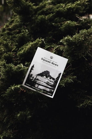 A printed newsletter titled 'Squawk News' is nestled among dense, lush green foliage. The cover features a black and white photograph of a rocky mountain landscape with snow patches.