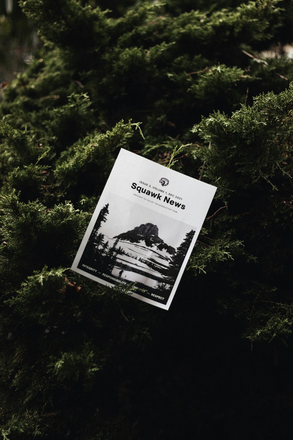 a brochure sitting on top of a green tree