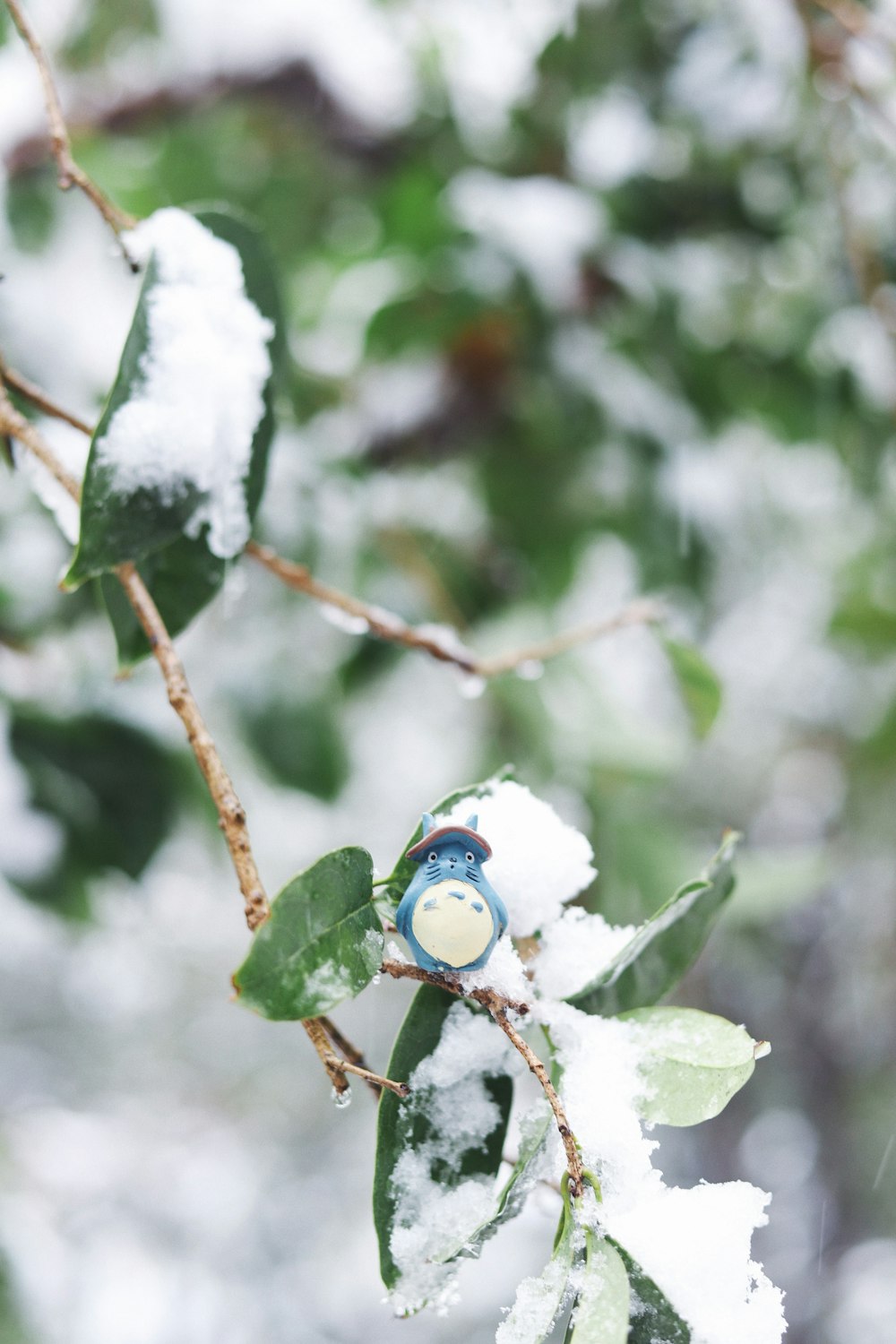 a snow covered branch with a blue bird on it