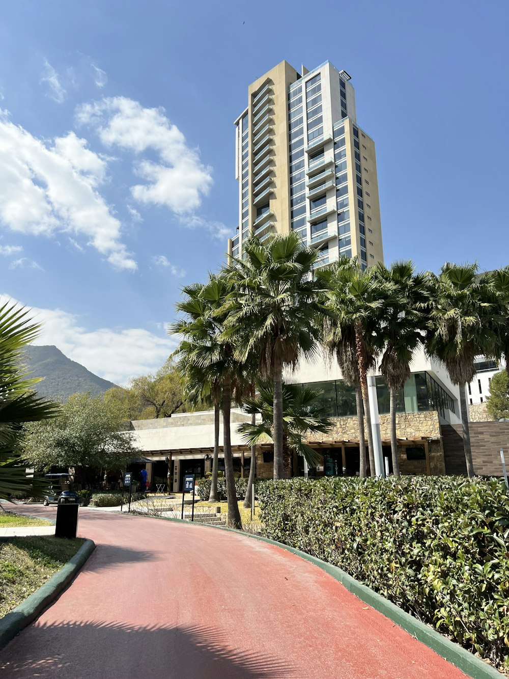 Un edificio alto sentado junto a un exuberante parque verde