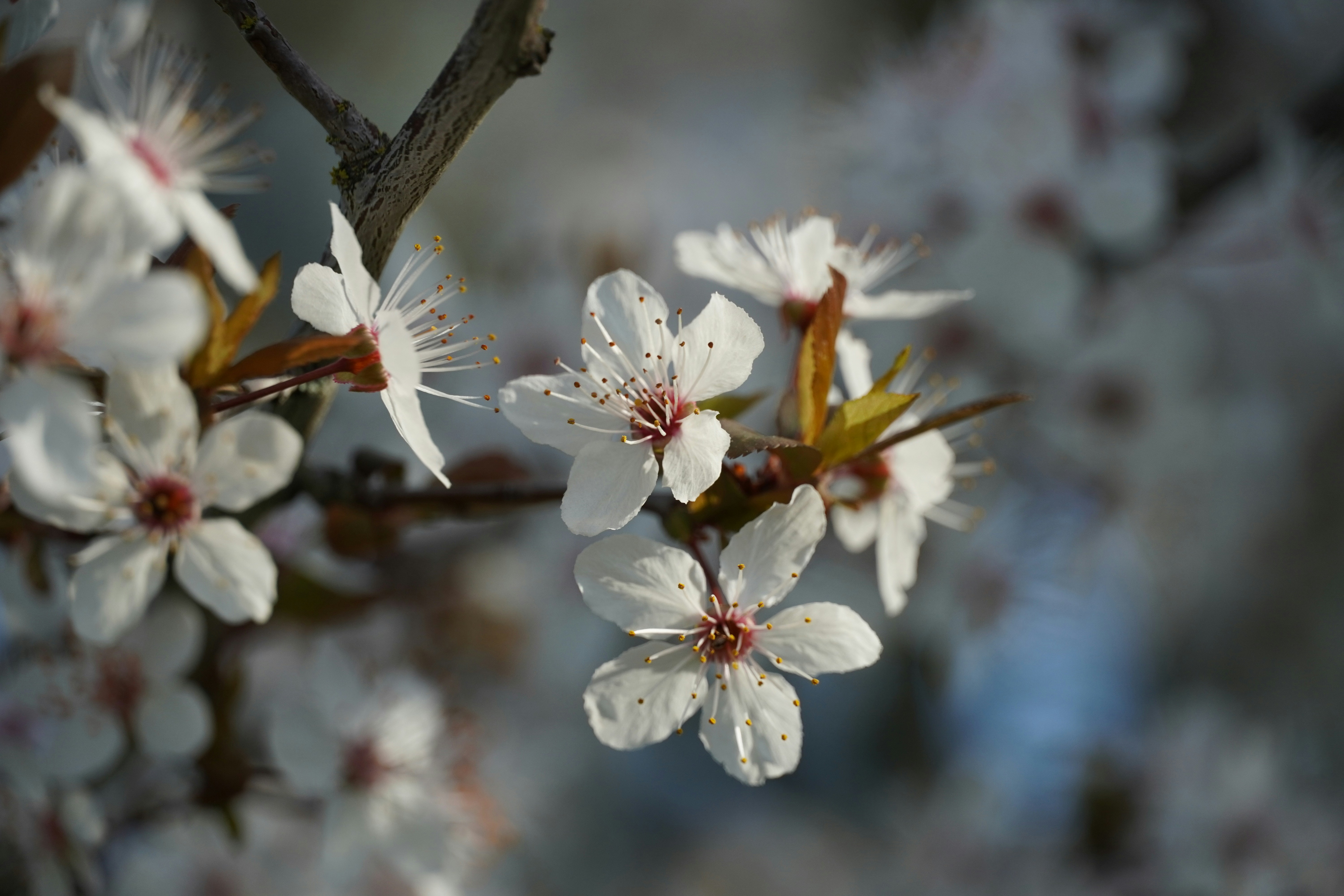 Photo by chapelbeach