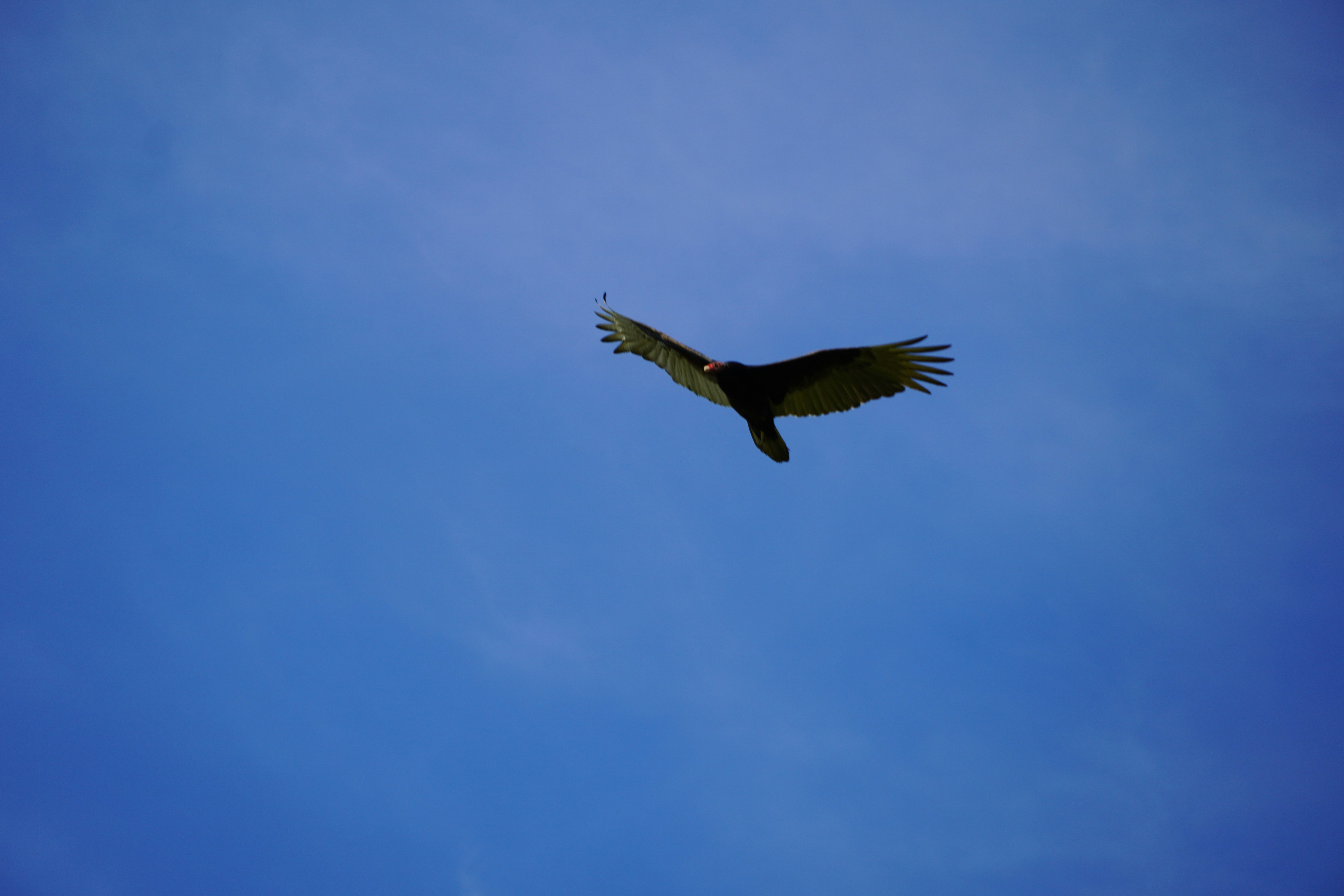 Photo by chapelbeach