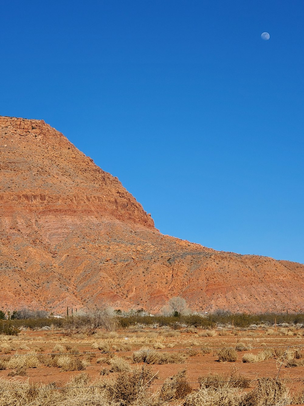 a desert landscape with a mountain in the background