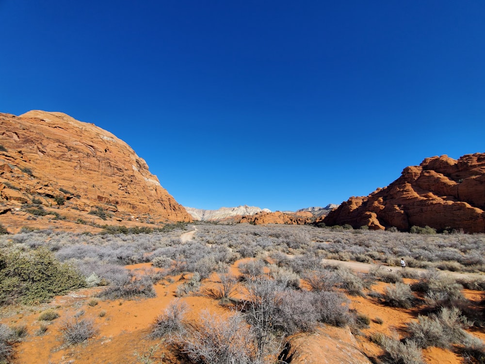 a desert area with a rock formation in the background