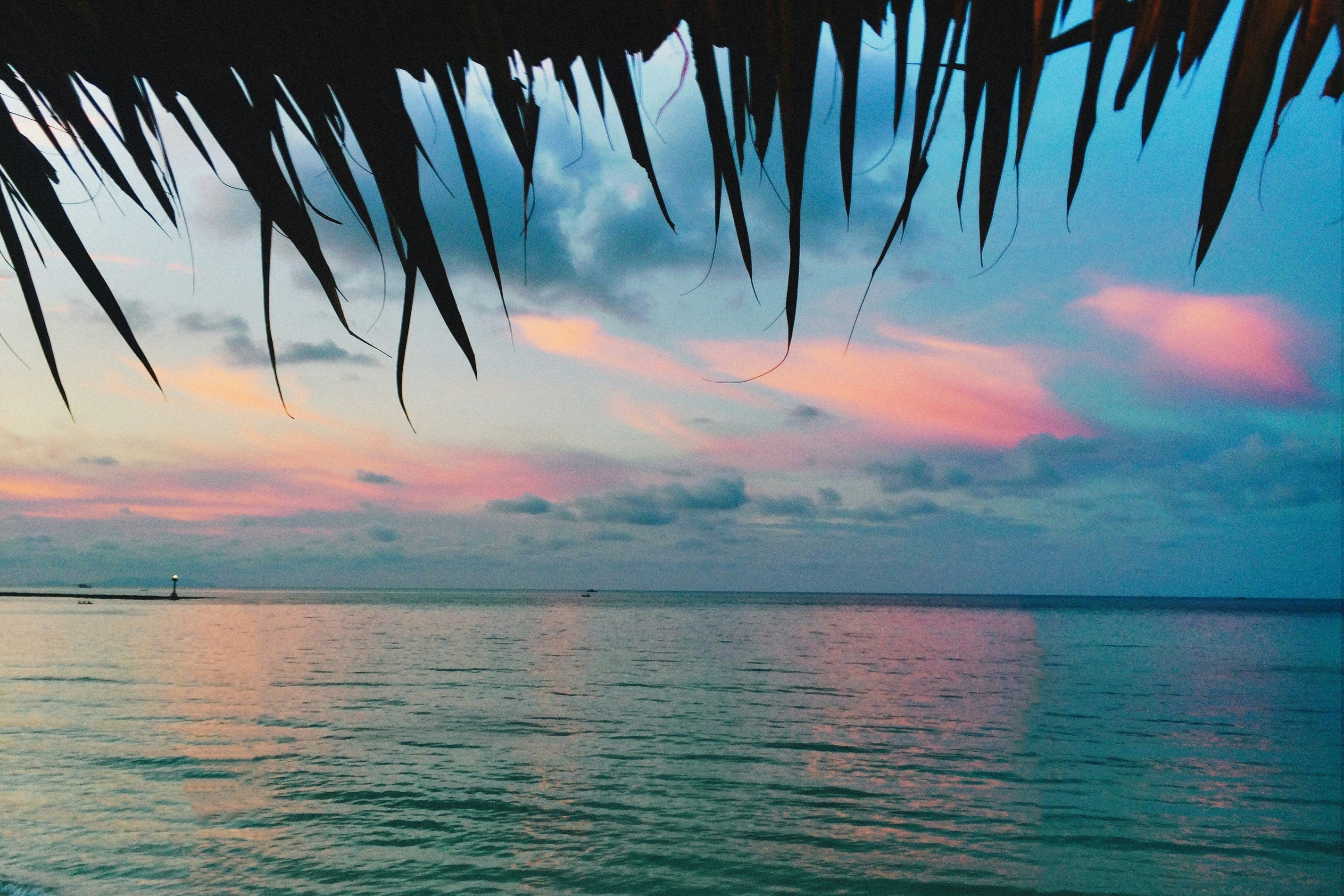 Photo by alexeydemidov