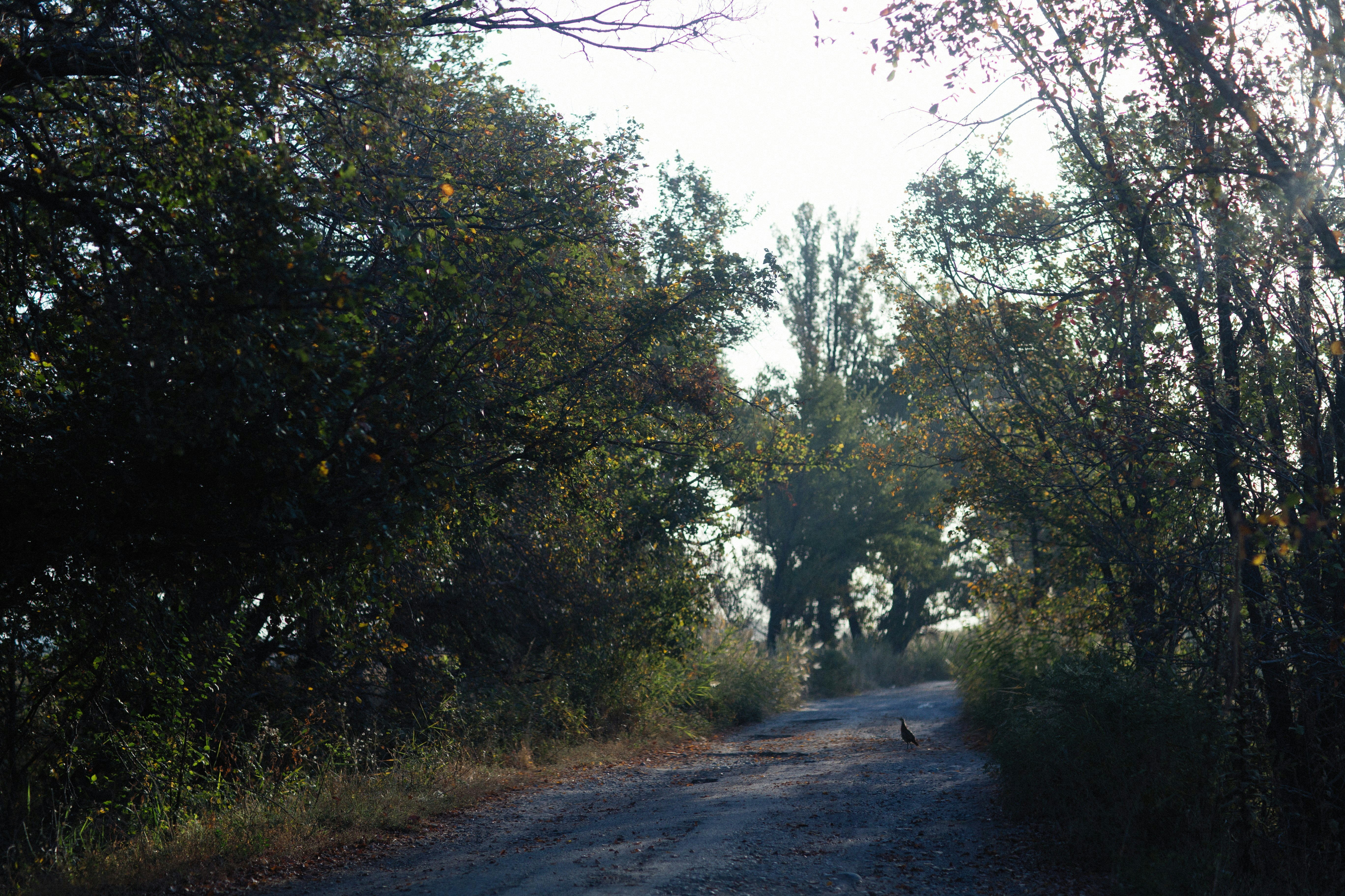 Photo by alexeydemidov