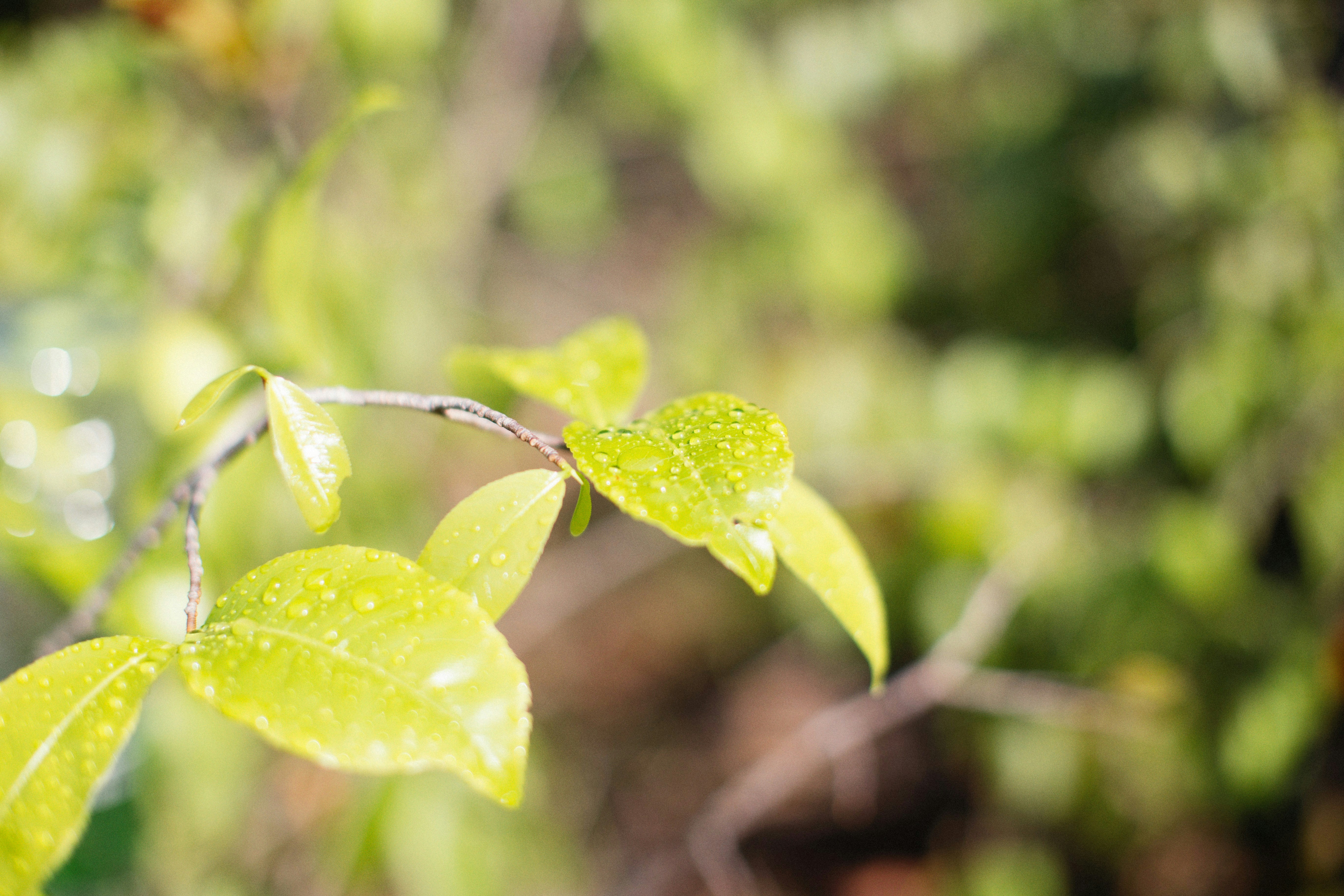 Photo by alexeydemidov