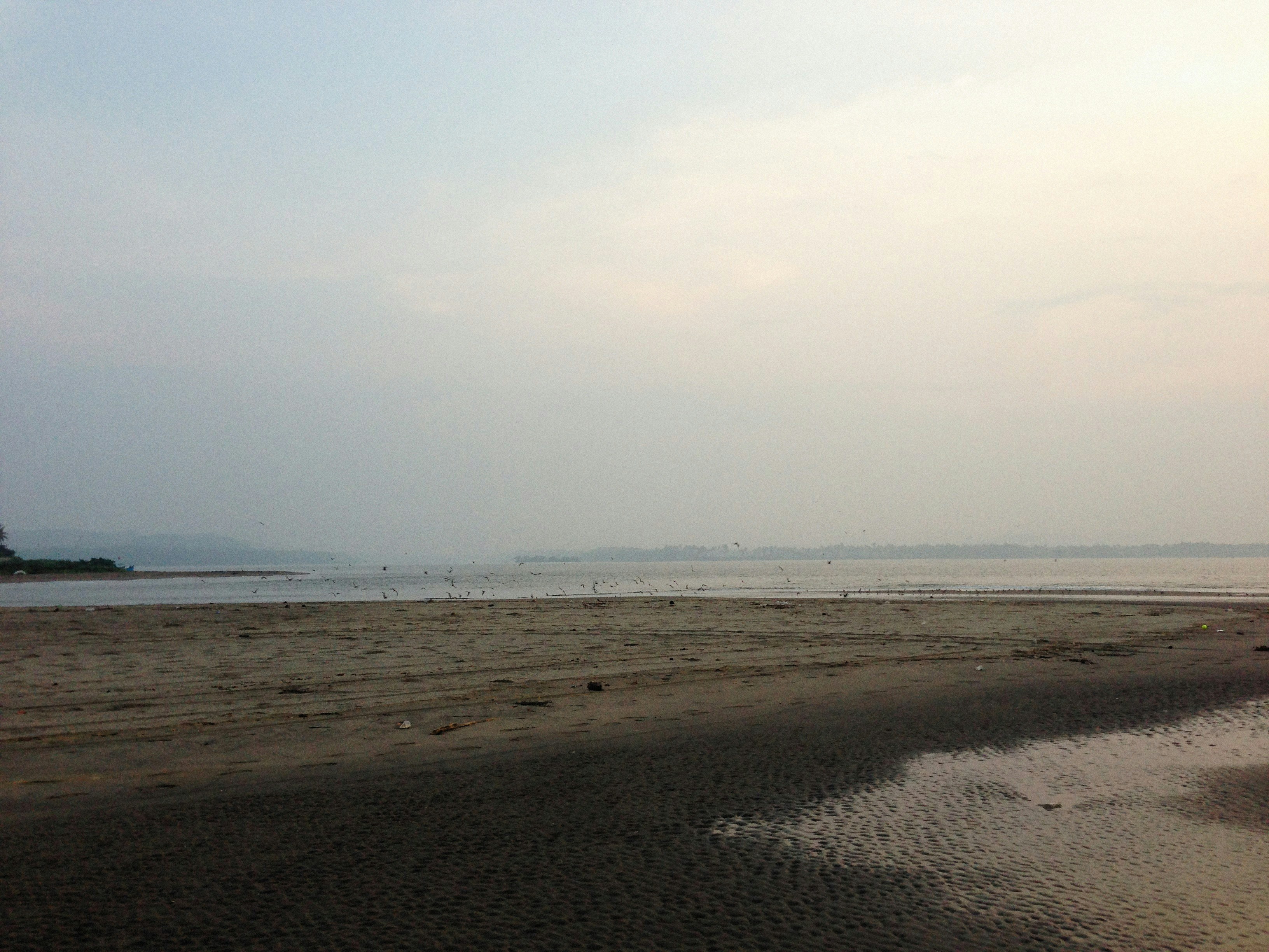 Photo by alexeydemidov