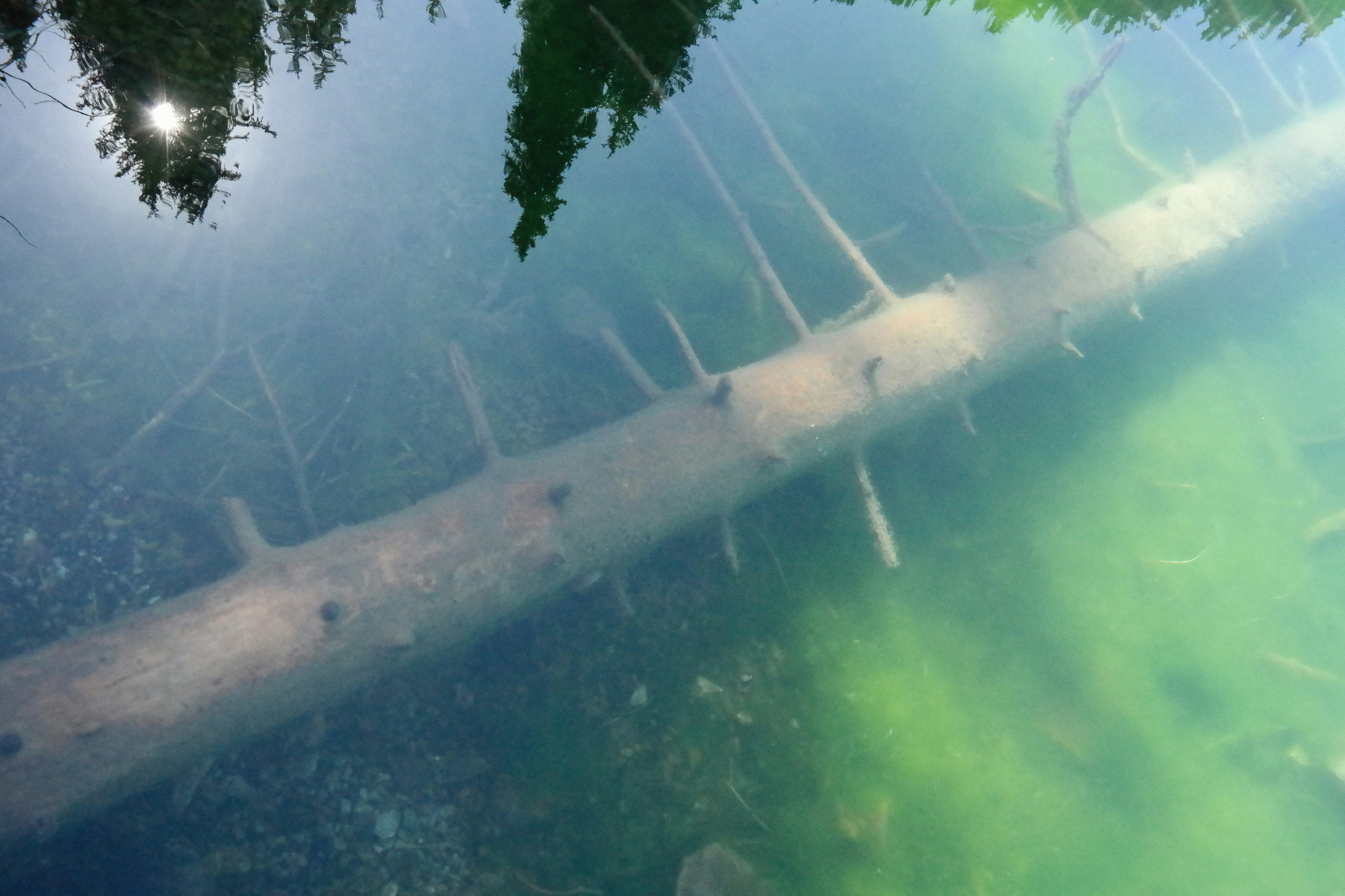 Photo by alexeydemidov