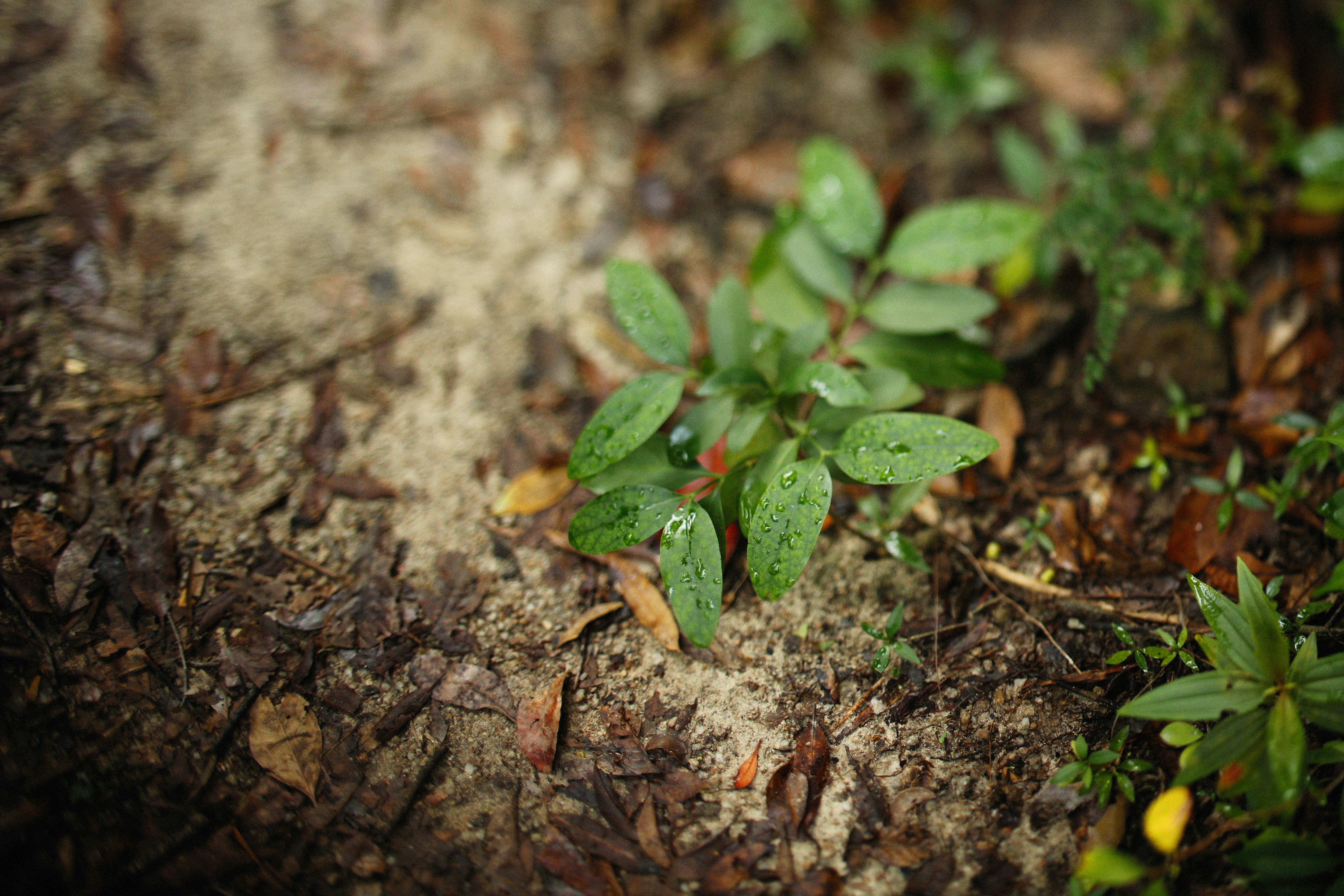 Photo by alexeydemidov