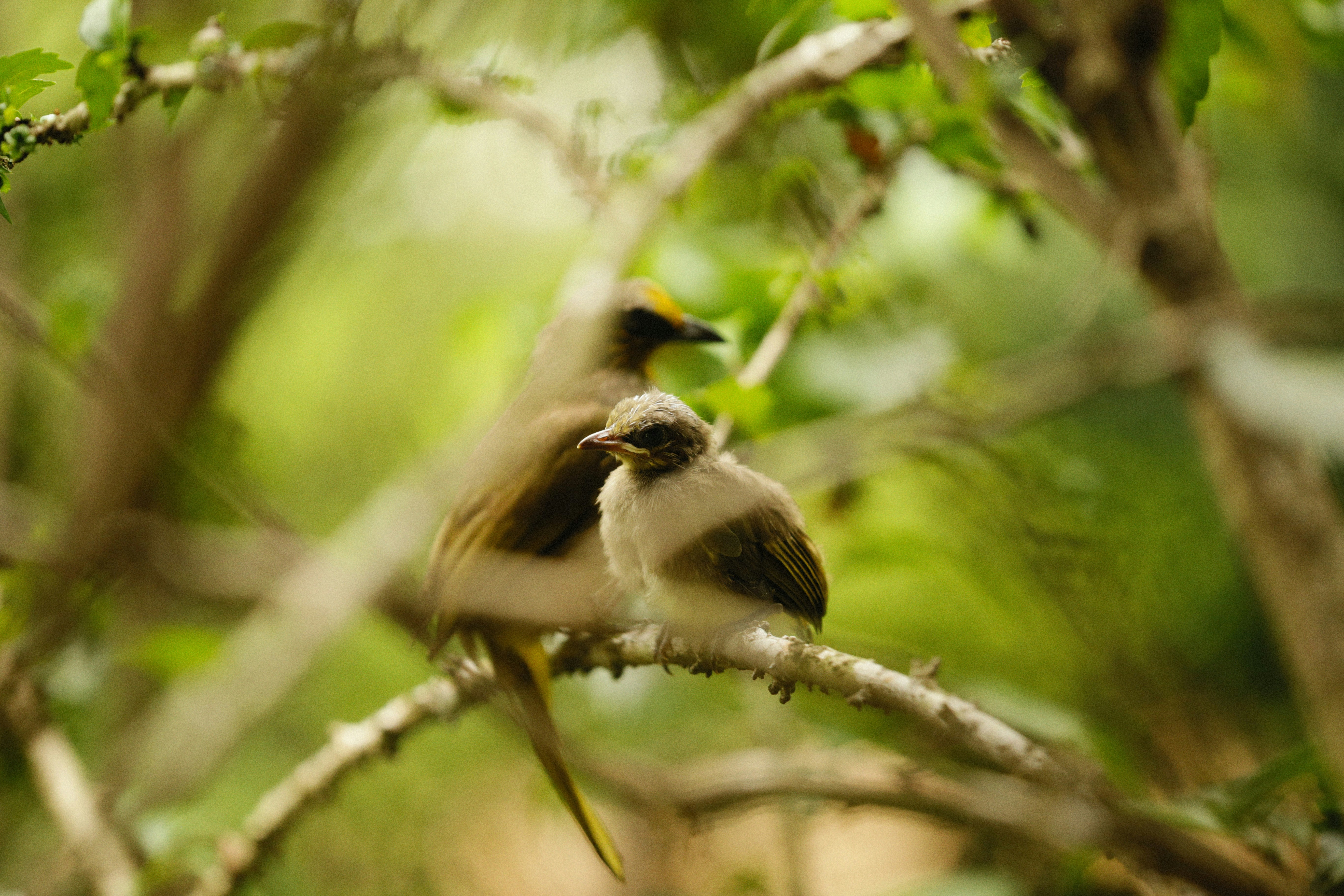 Photo by alexeydemidov