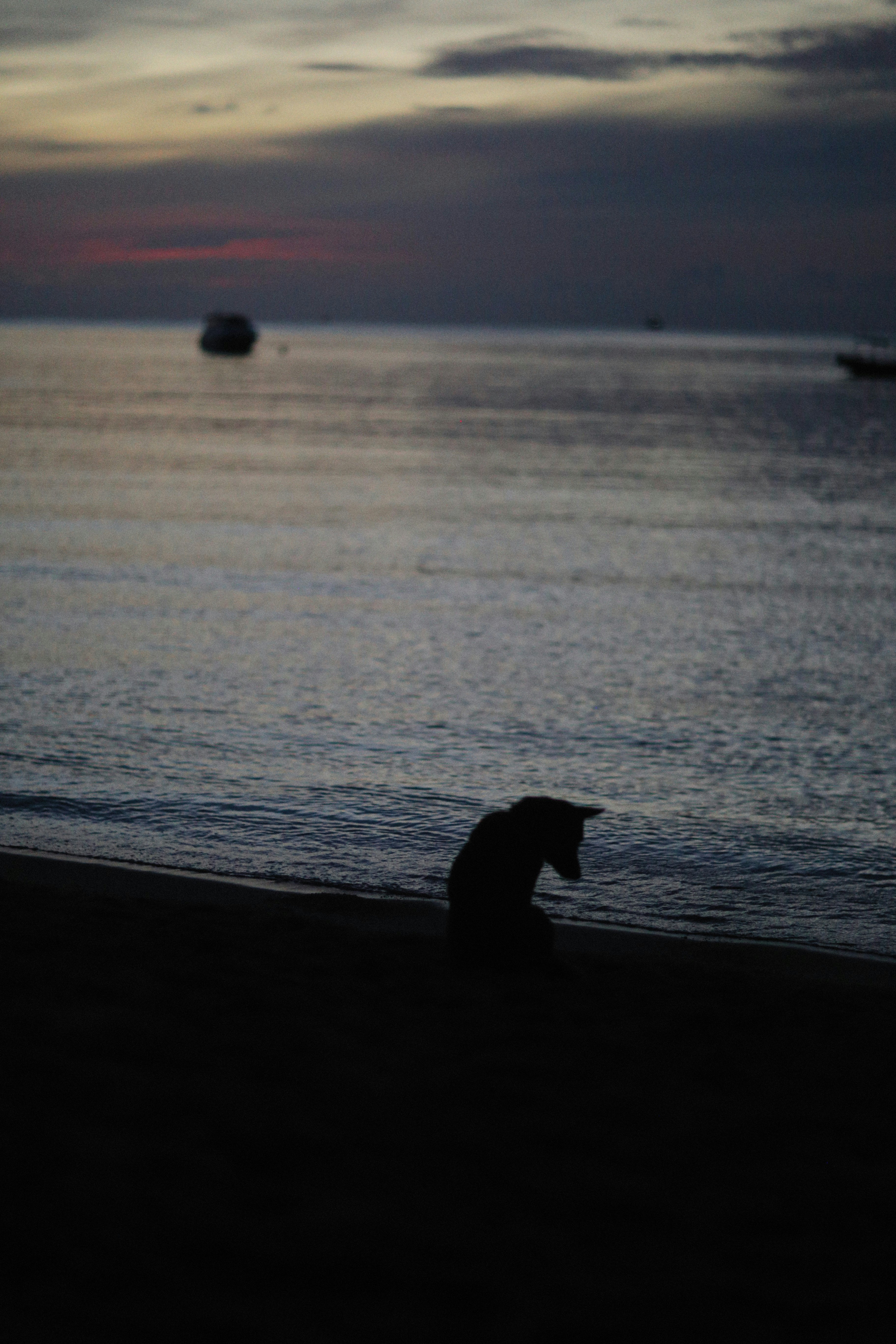 Photo by alexeydemidov