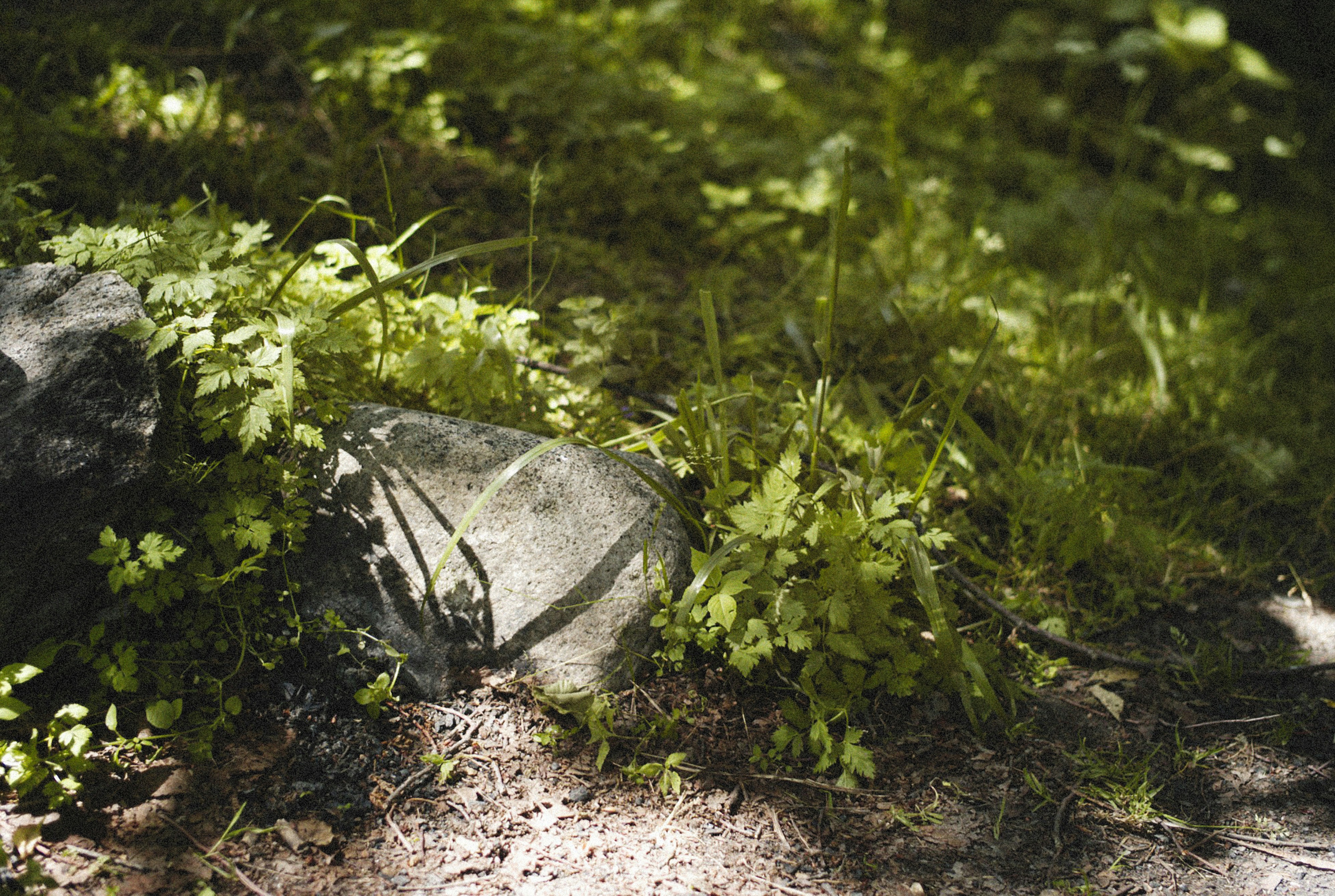 Photo by alexeydemidov