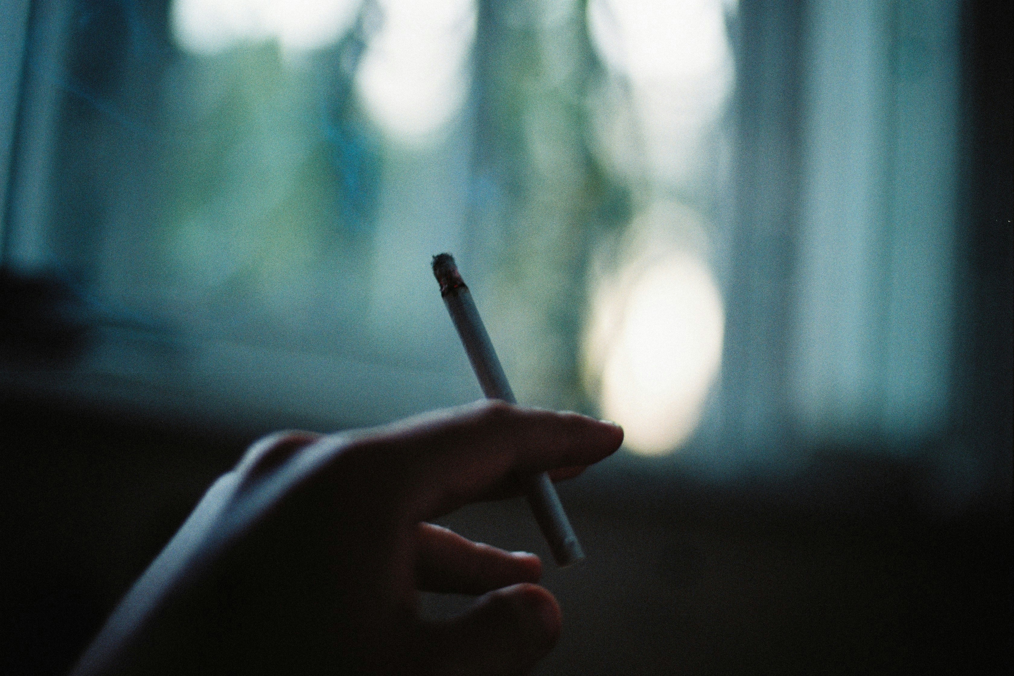 Photo by alexeydemidov