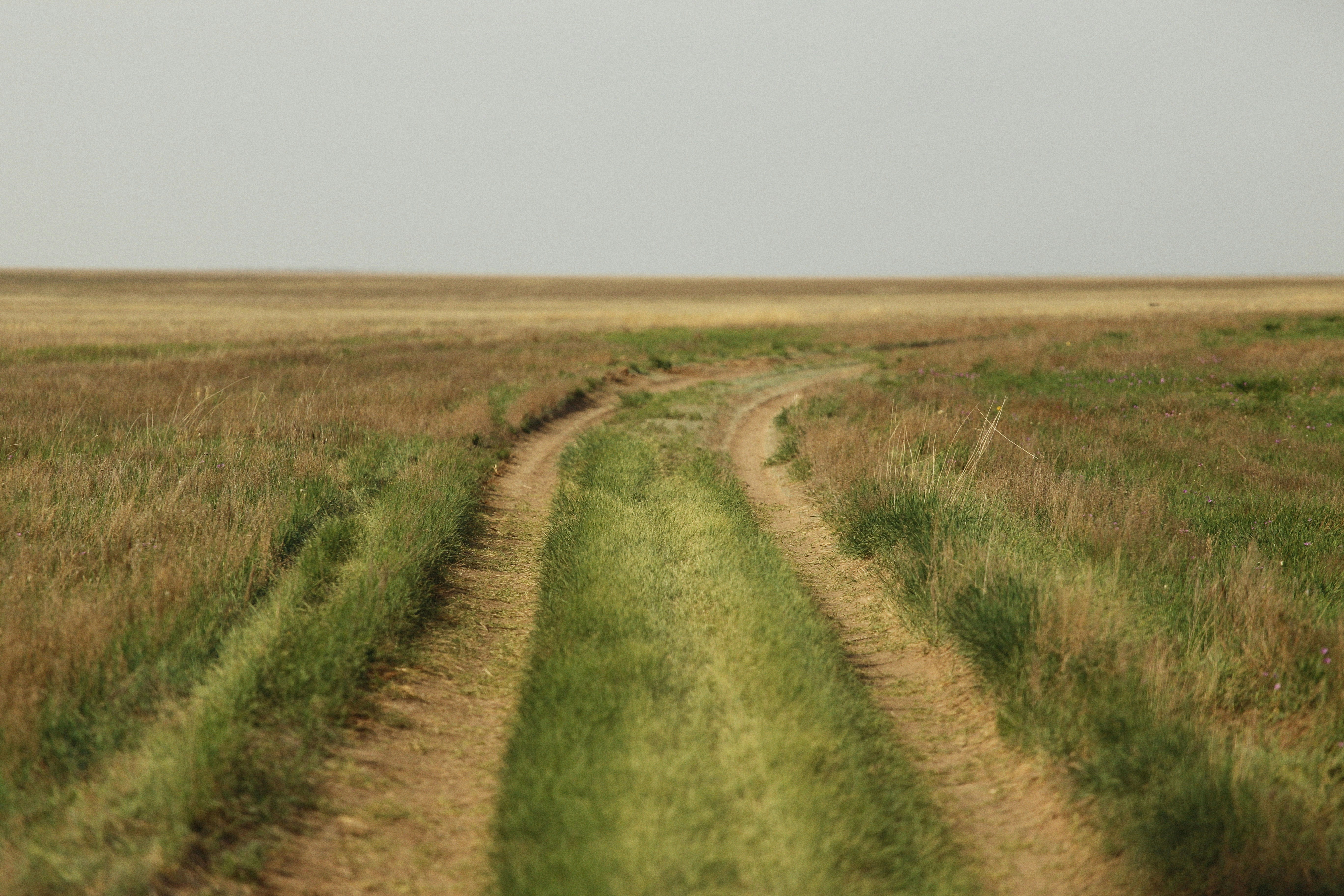 Photo by alexeydemidov