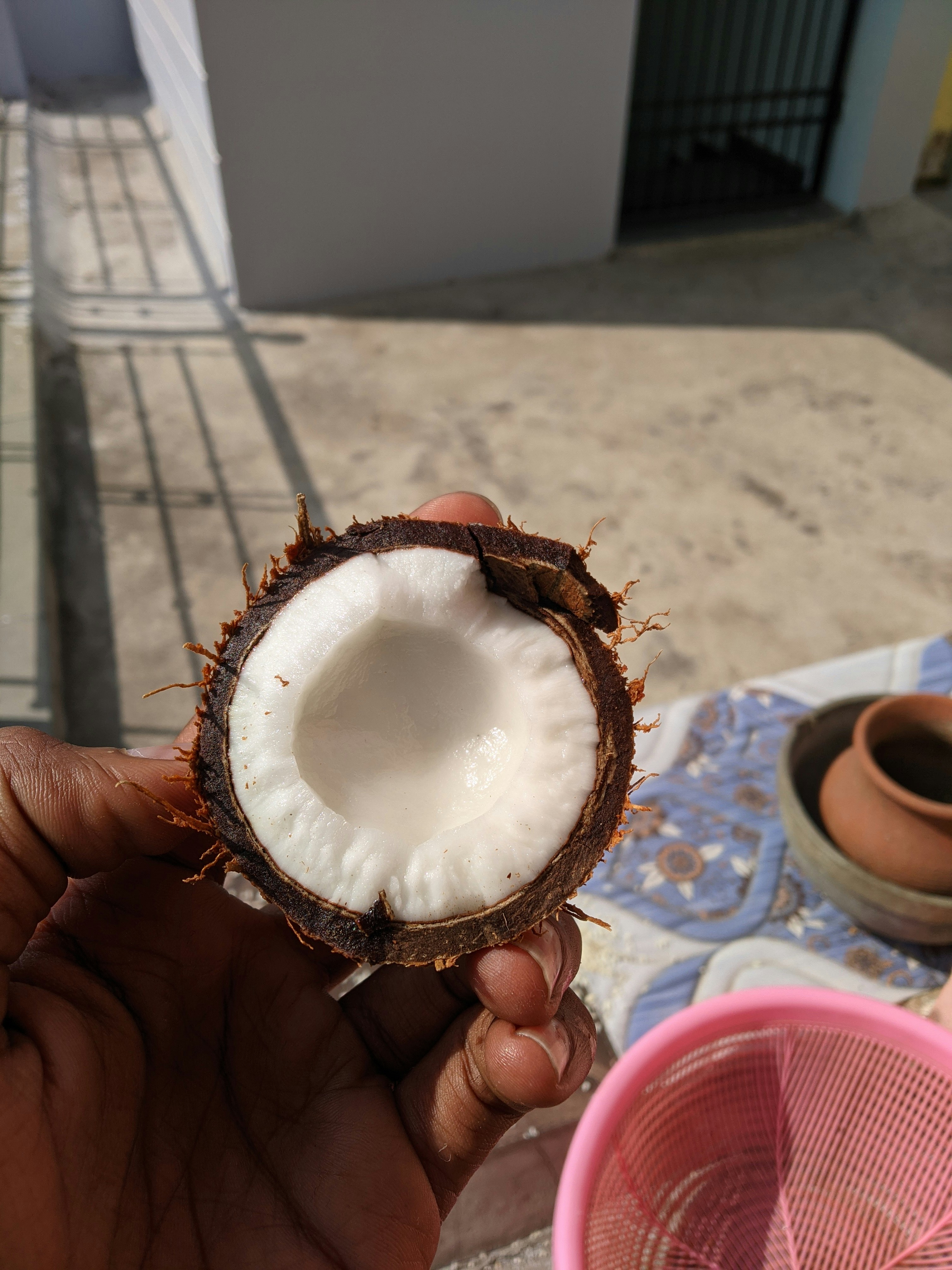 Halved fresh coconuts with white flesh and tropical leaves