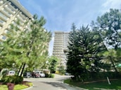 Tall residential buildings surrounded by lush green trees under a bright blue sky. Several parked cars are visible near the buildings, and the area appears well-maintained with green lawns and flower beds.