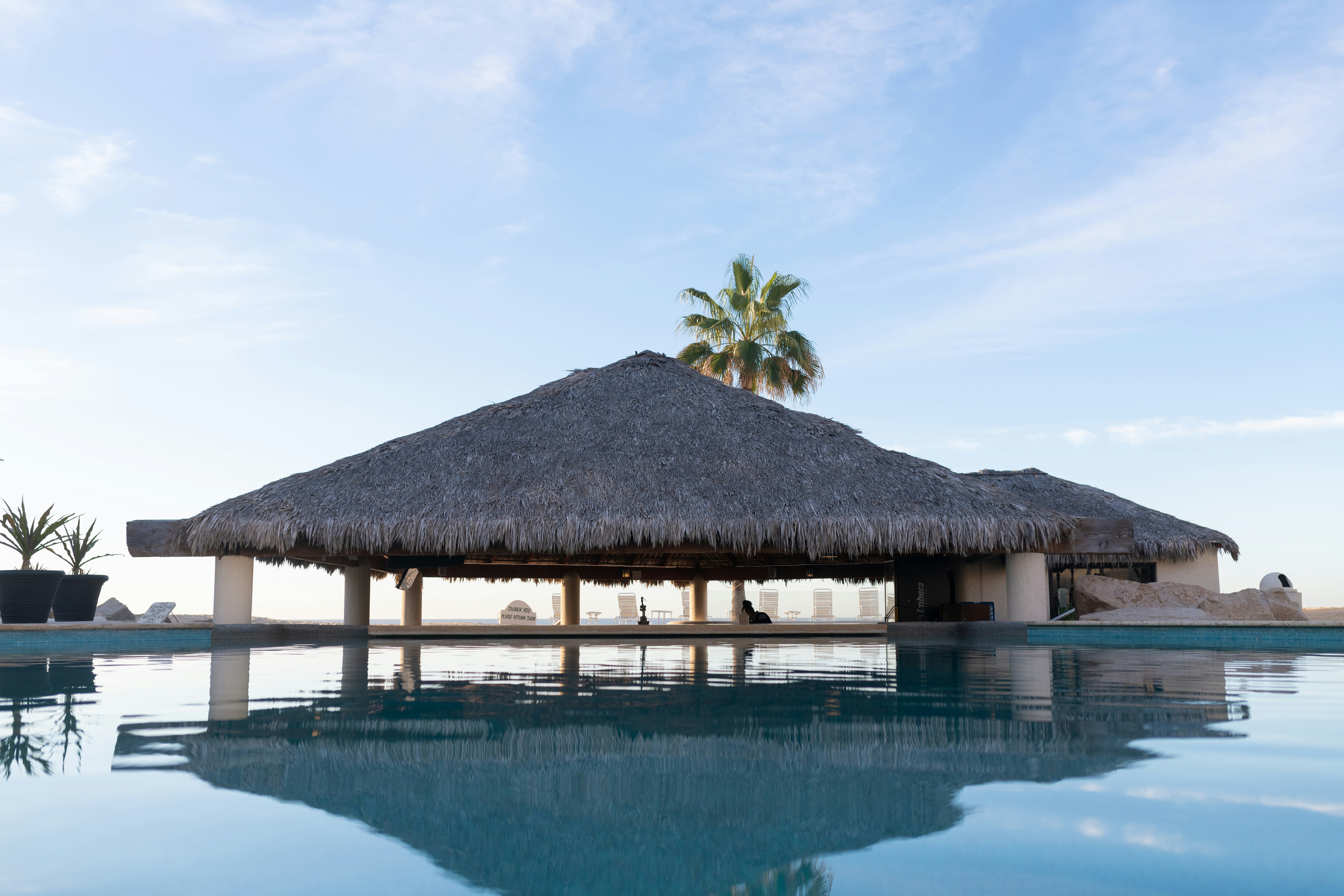 a thatched roof over a pool with a palm tree in the background