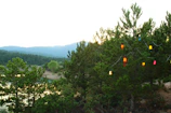 A dreamy landscape with floating lanterns illuminating a twilight forest.