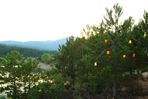 A dreamy landscape with floating lanterns illuminating a twilight forest.