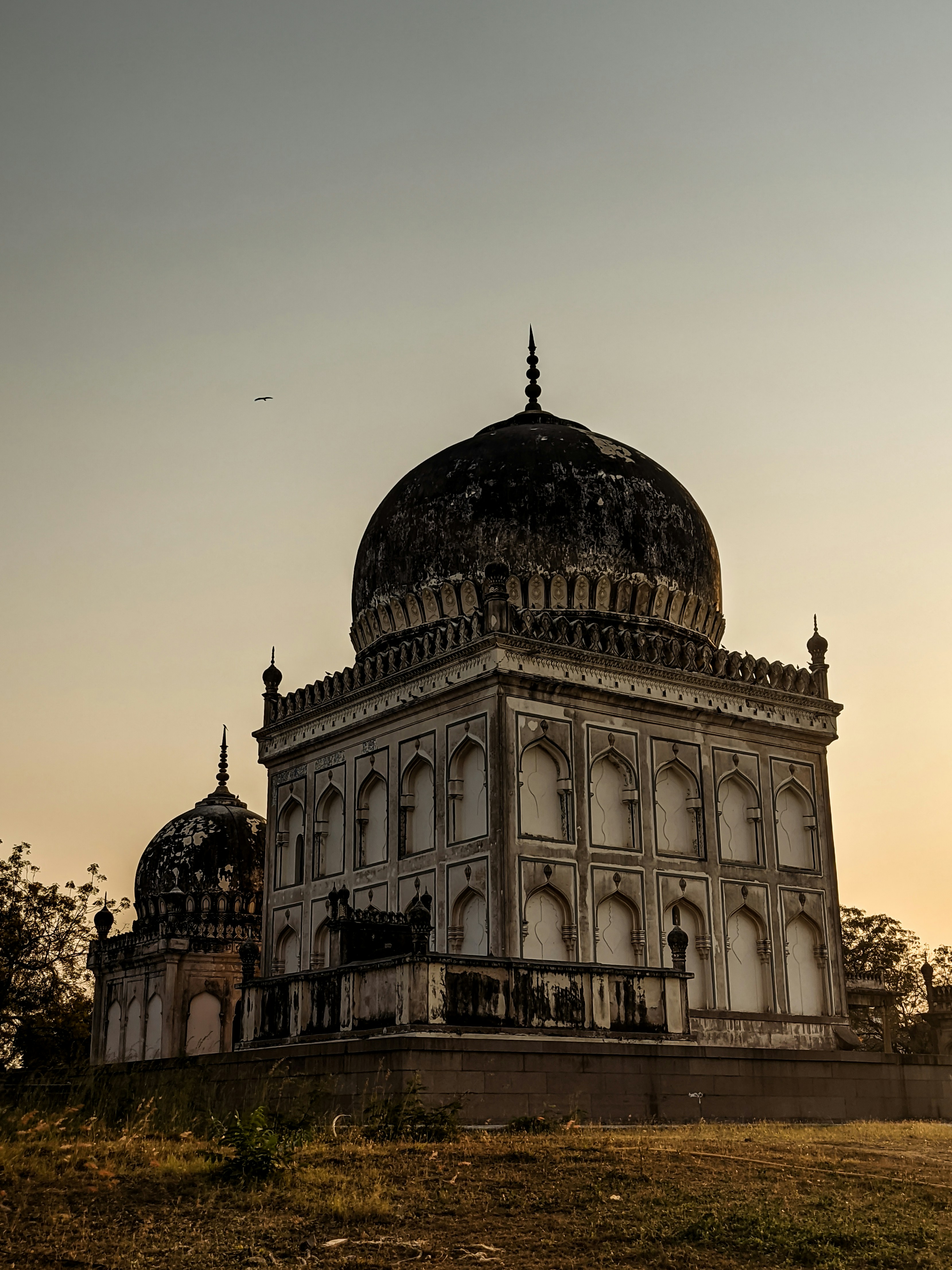 Photo by abovesavage