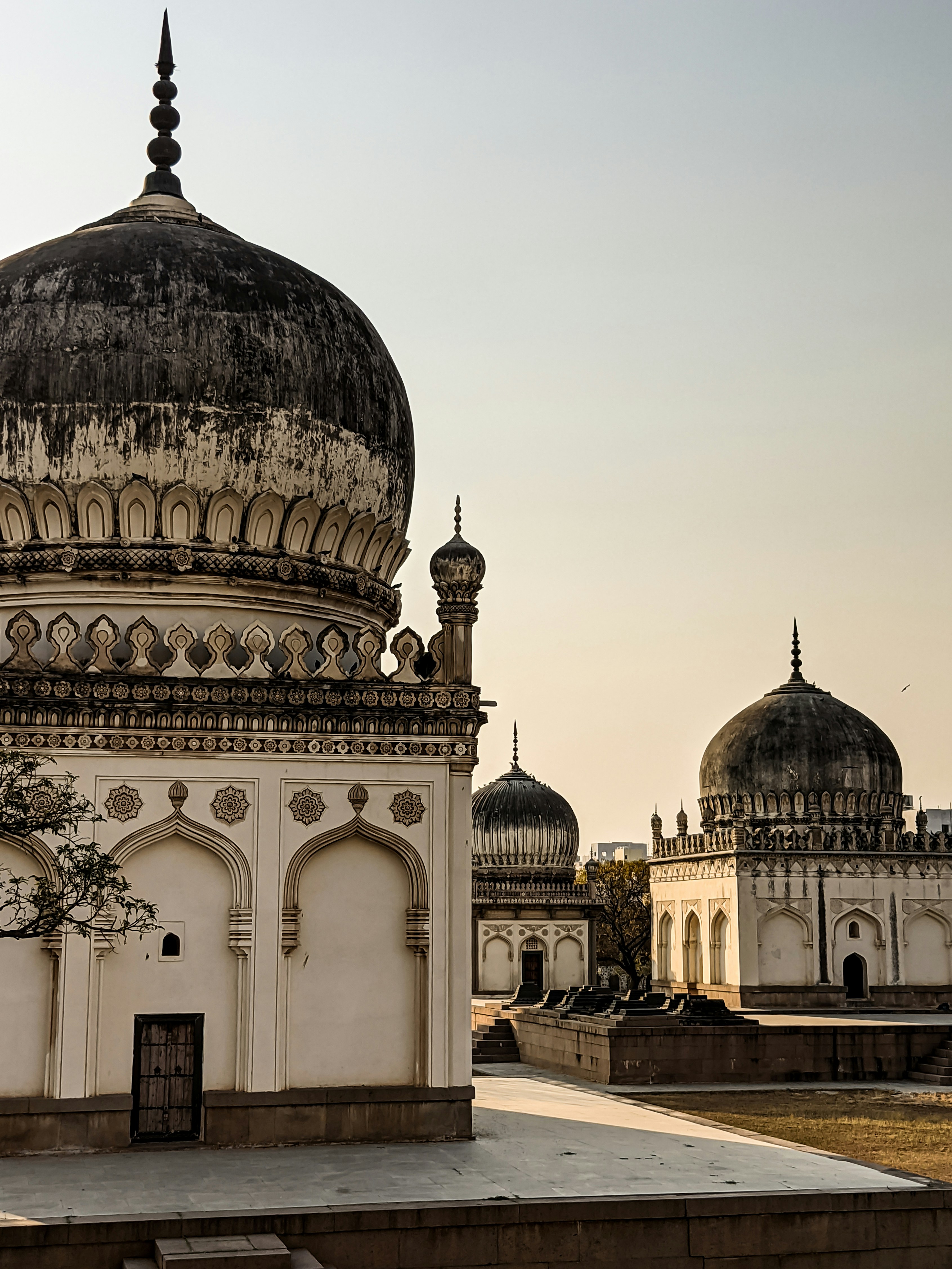 Photo by abovesavage