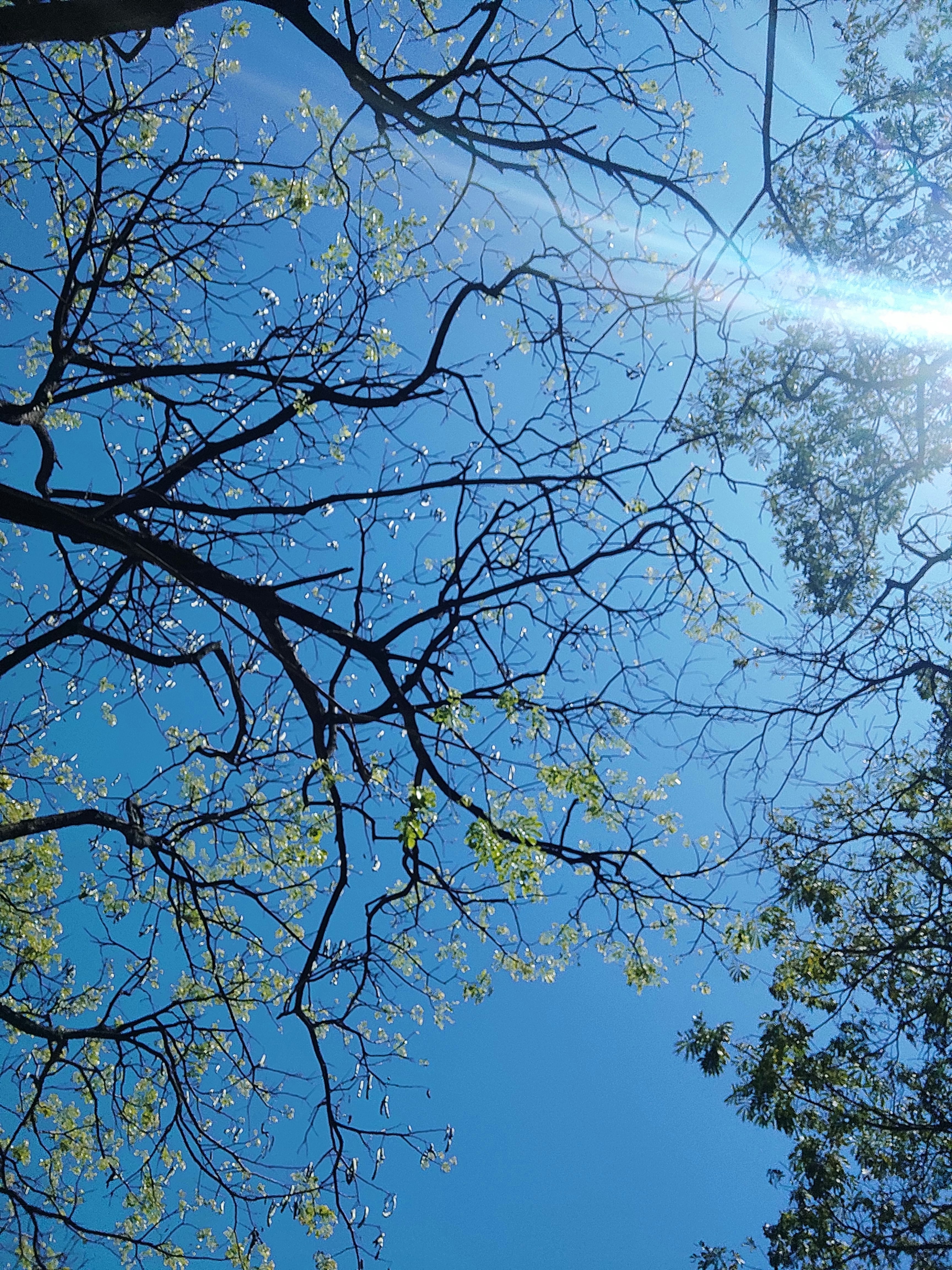 Photo by graphology_14