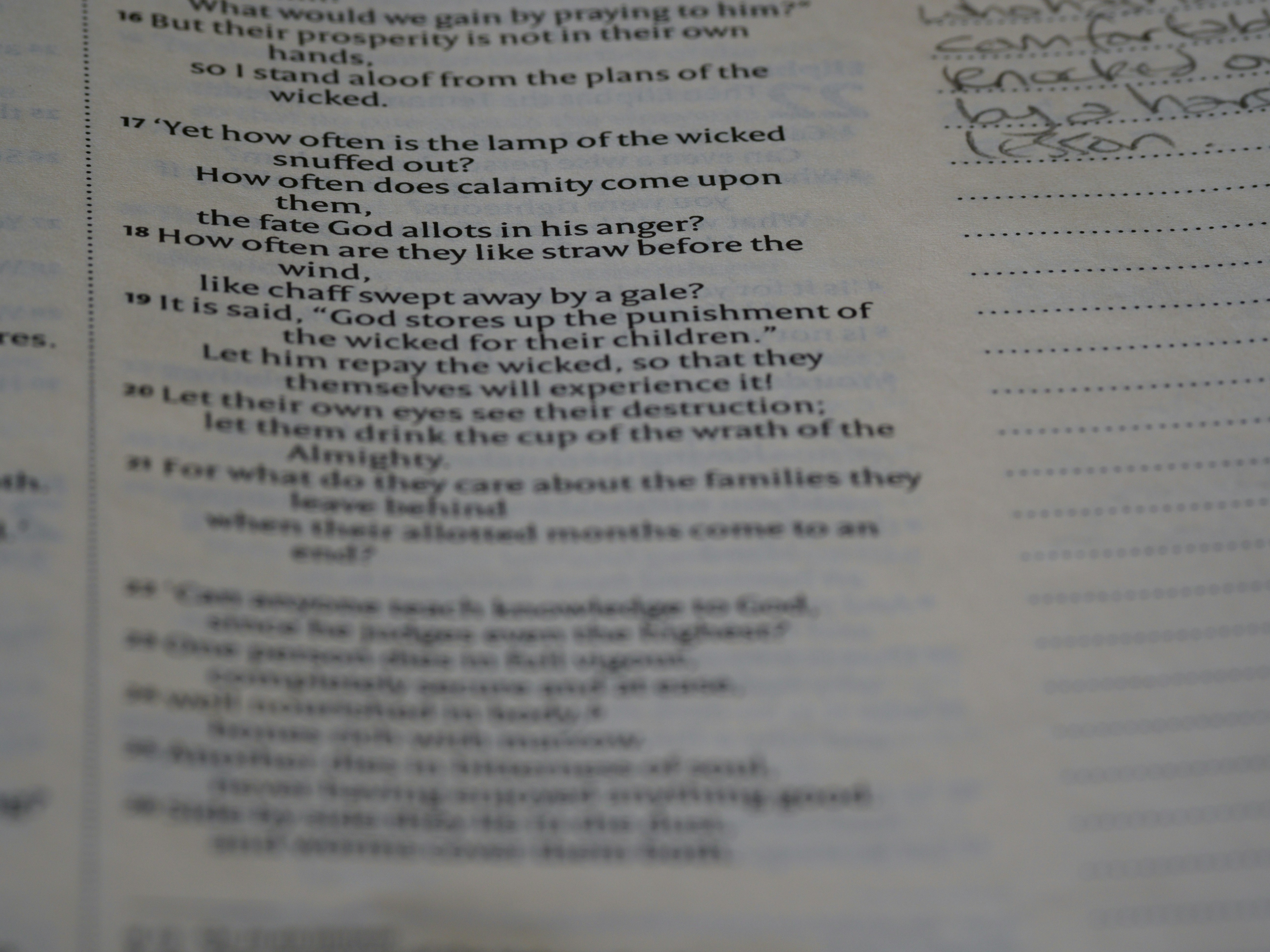 Photo by brett_jordan