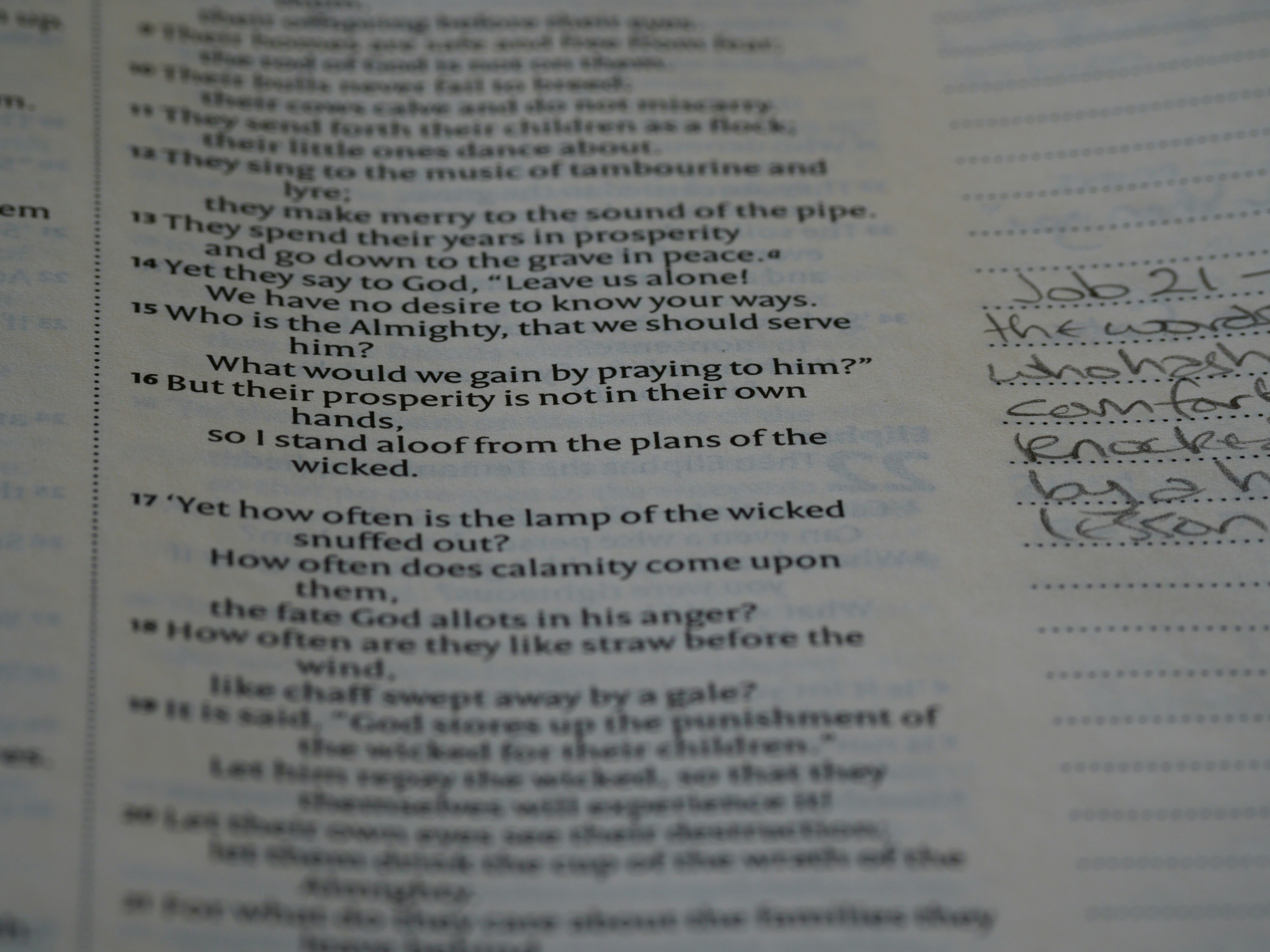 close up, bokeh, macro, blur, blurred background, close focus, bible, old testament, hebrew bible, christian, judaism, history, text, reading, bible study, devotions, text, NIV, New International Version, type, typography, canon, christianity, holy scripture, holy bible, scripture, old testament, hebrew bible, tanakh, ketuvim, book of job, job, אִיּוֹב, theodicy, satan, the accuser, הַשָּׂטָן, 
