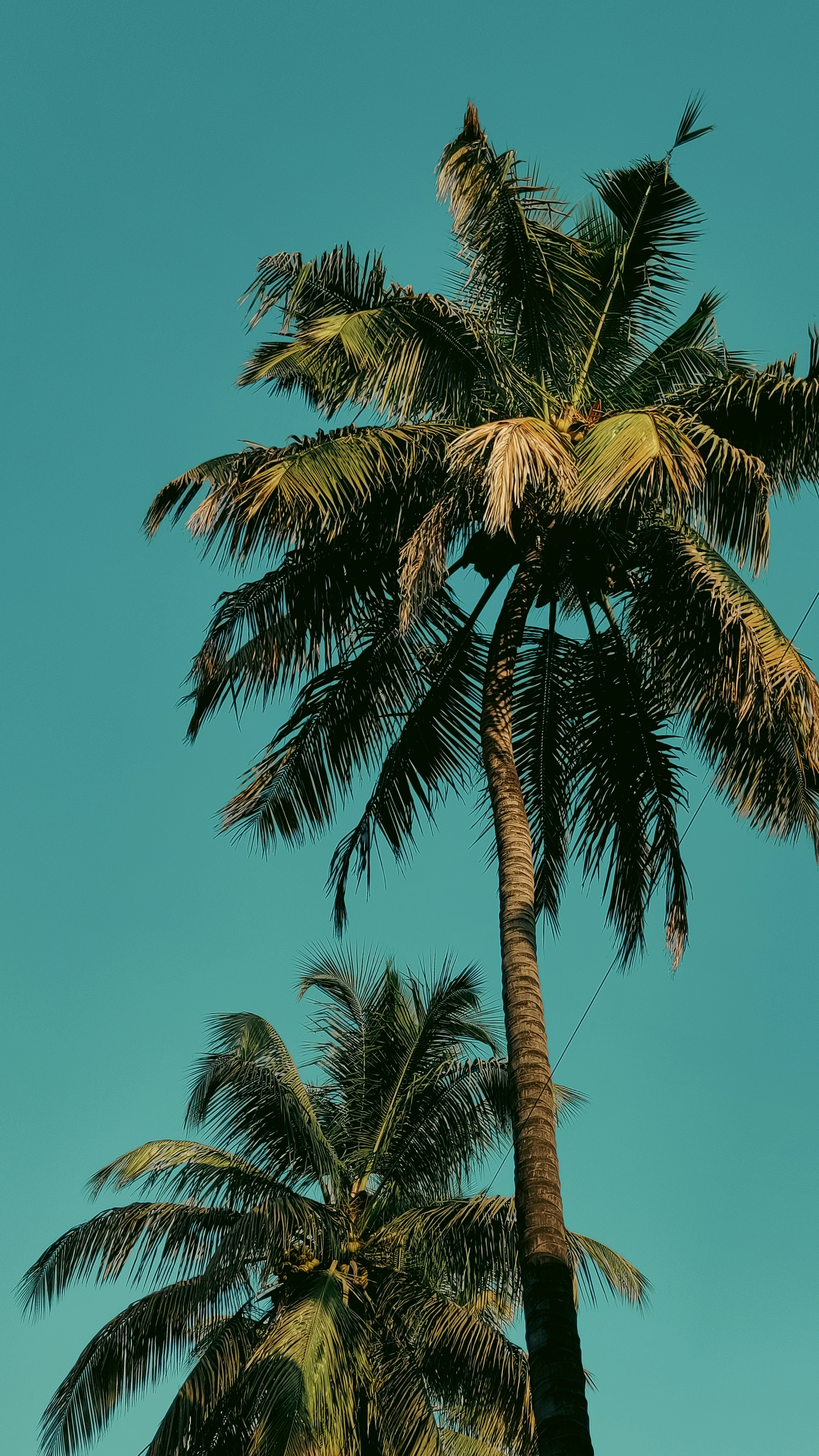 Photo by medicoinfocus