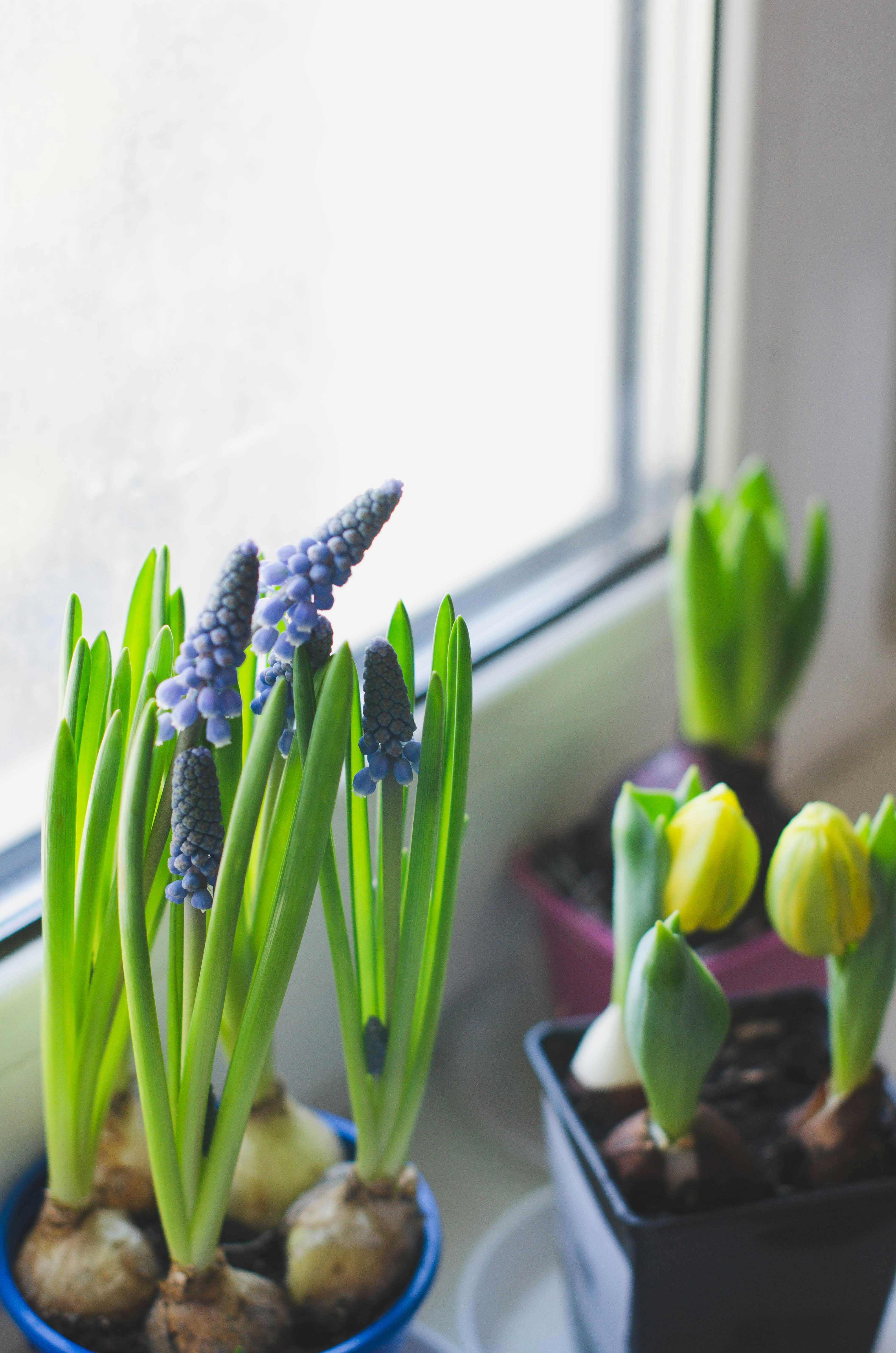 Revive Your Finances: A Spring Budget Cleanse