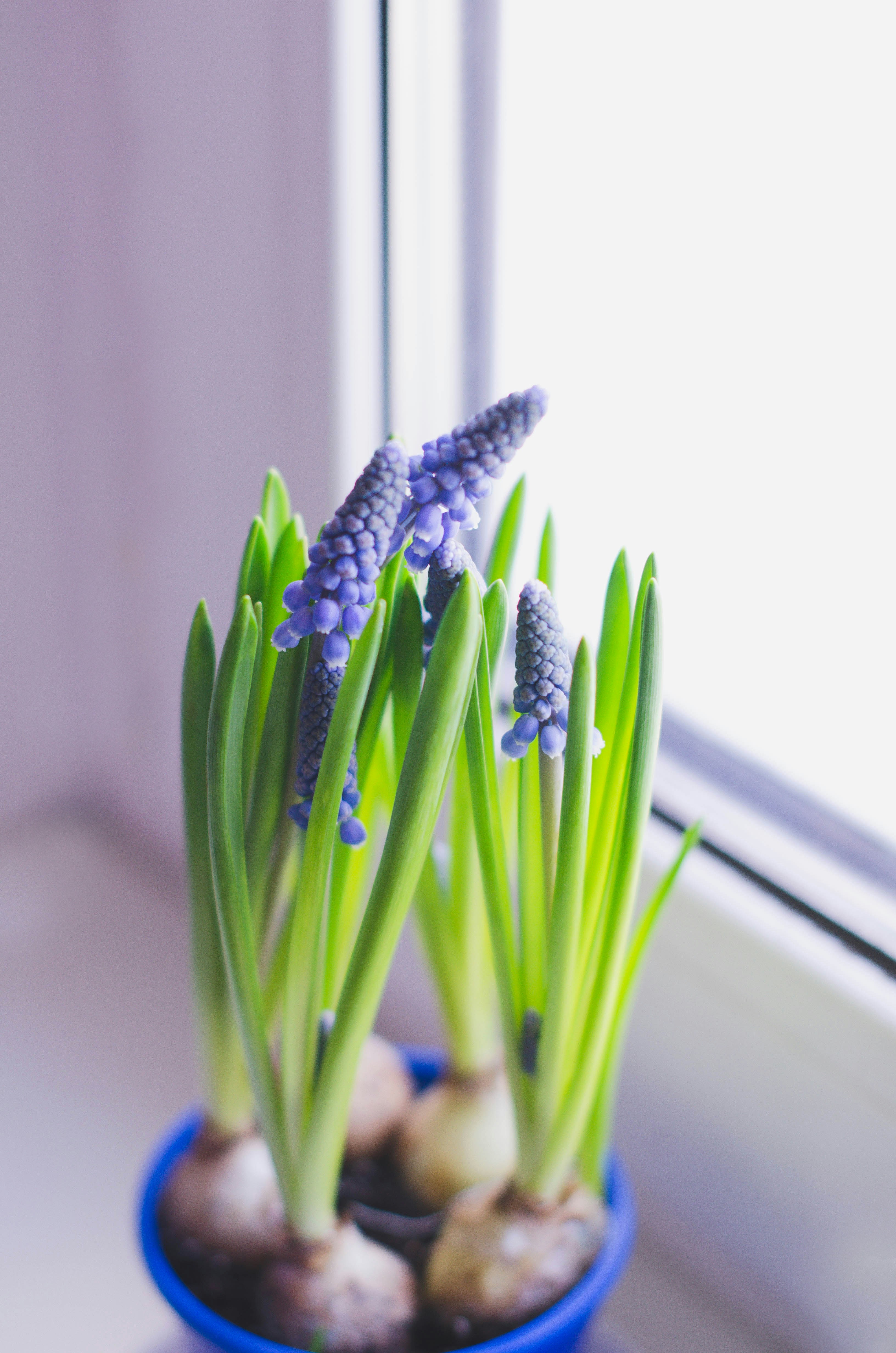 Photo by nika_benedictova