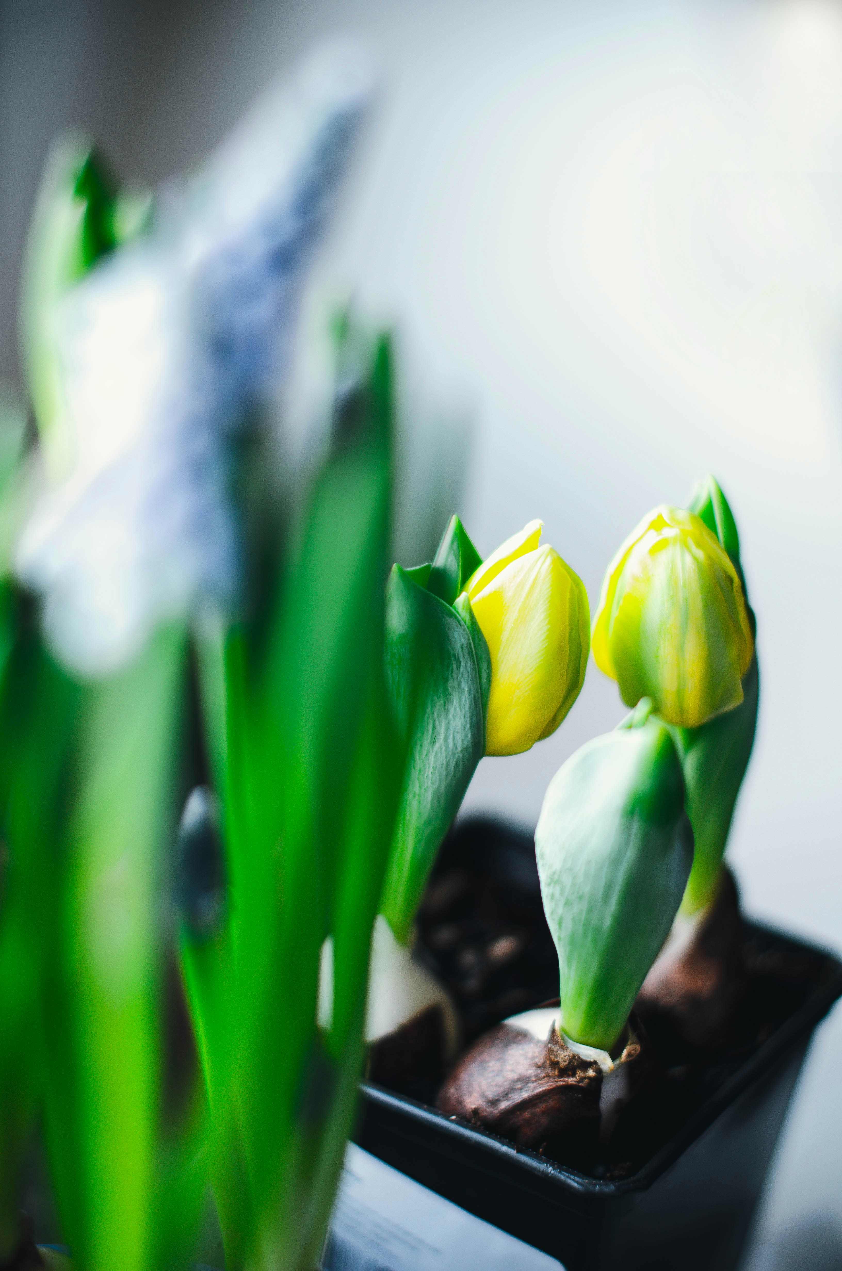 Photo by nika_benedictova