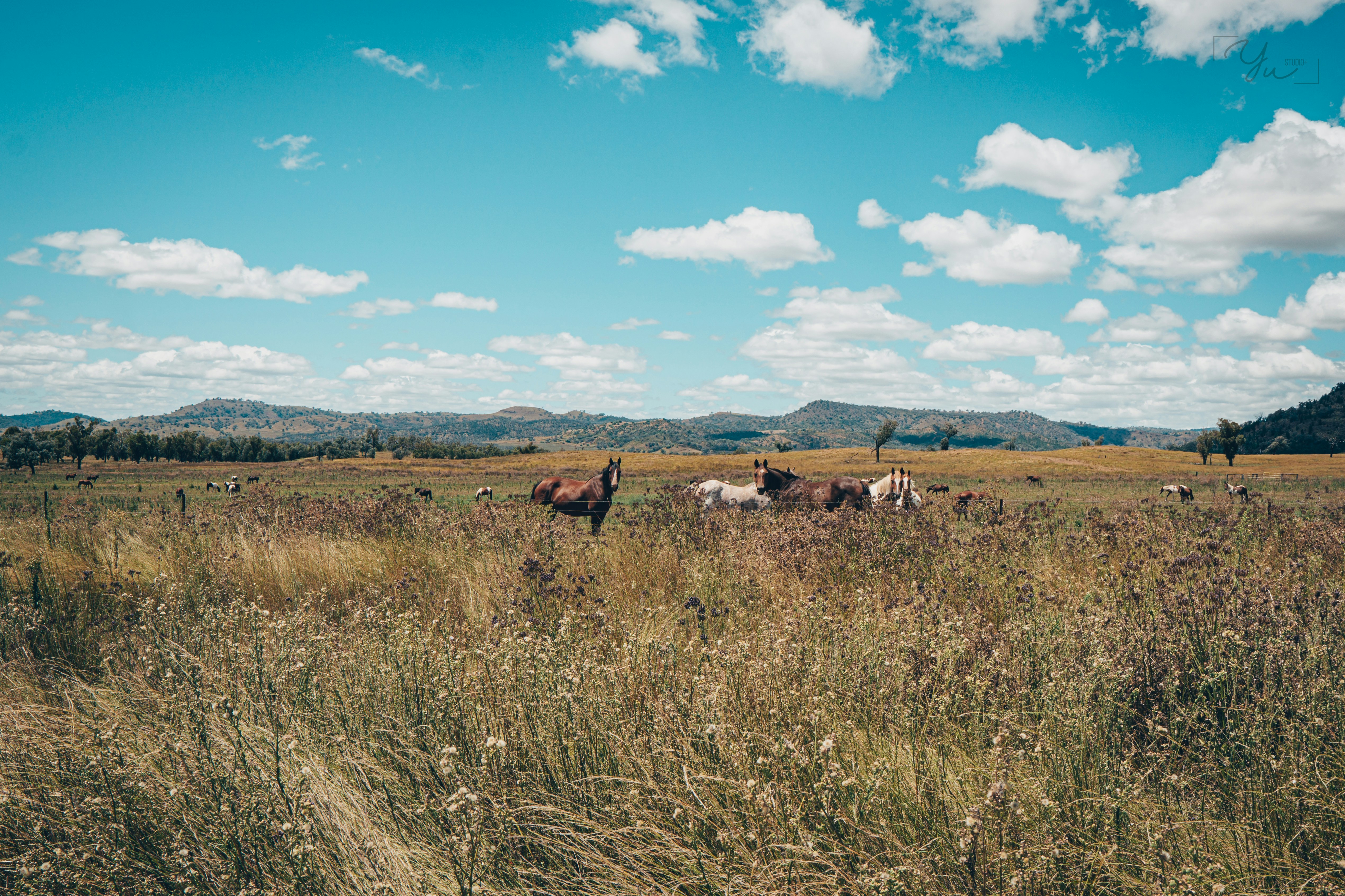 Photo by yustudioplus