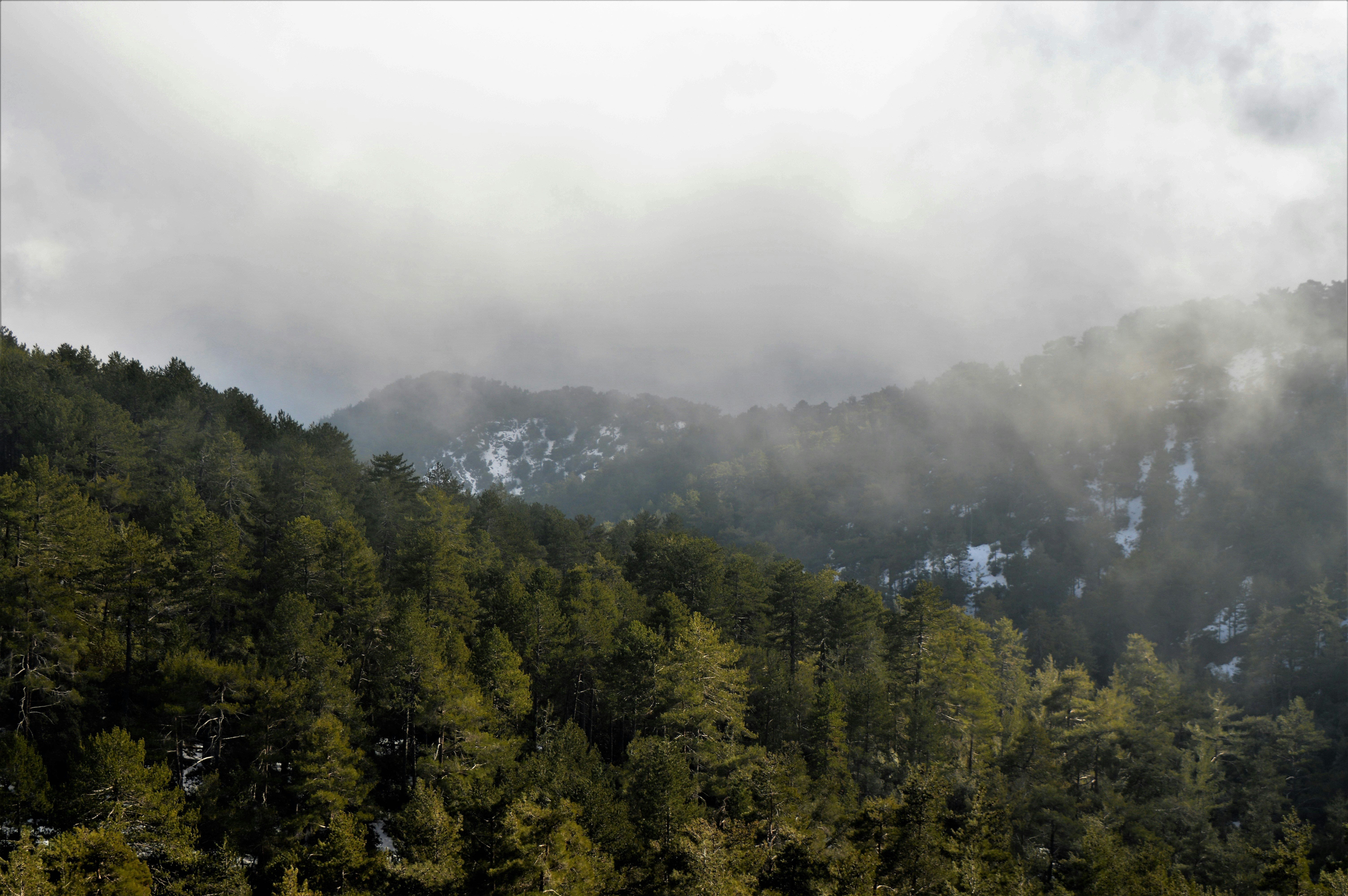 Photo by lifes_illusions