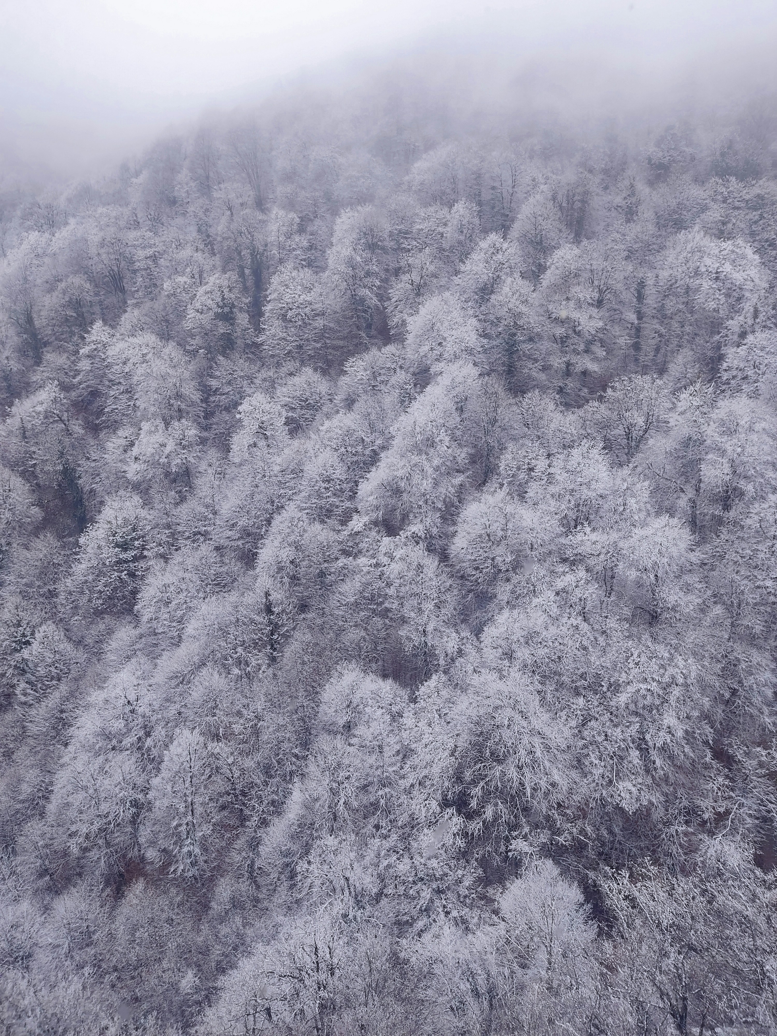 Photo by anvarismayilzada