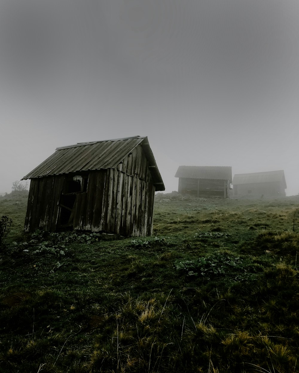 two barns in a foggy field on a farm