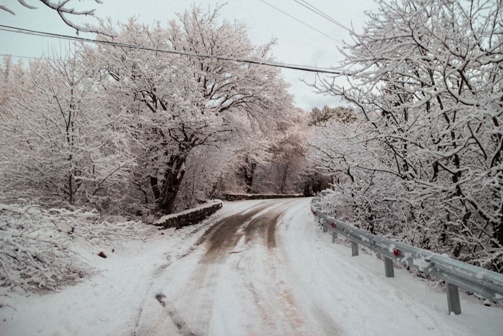 a snowy road surrounded by trees and power lines