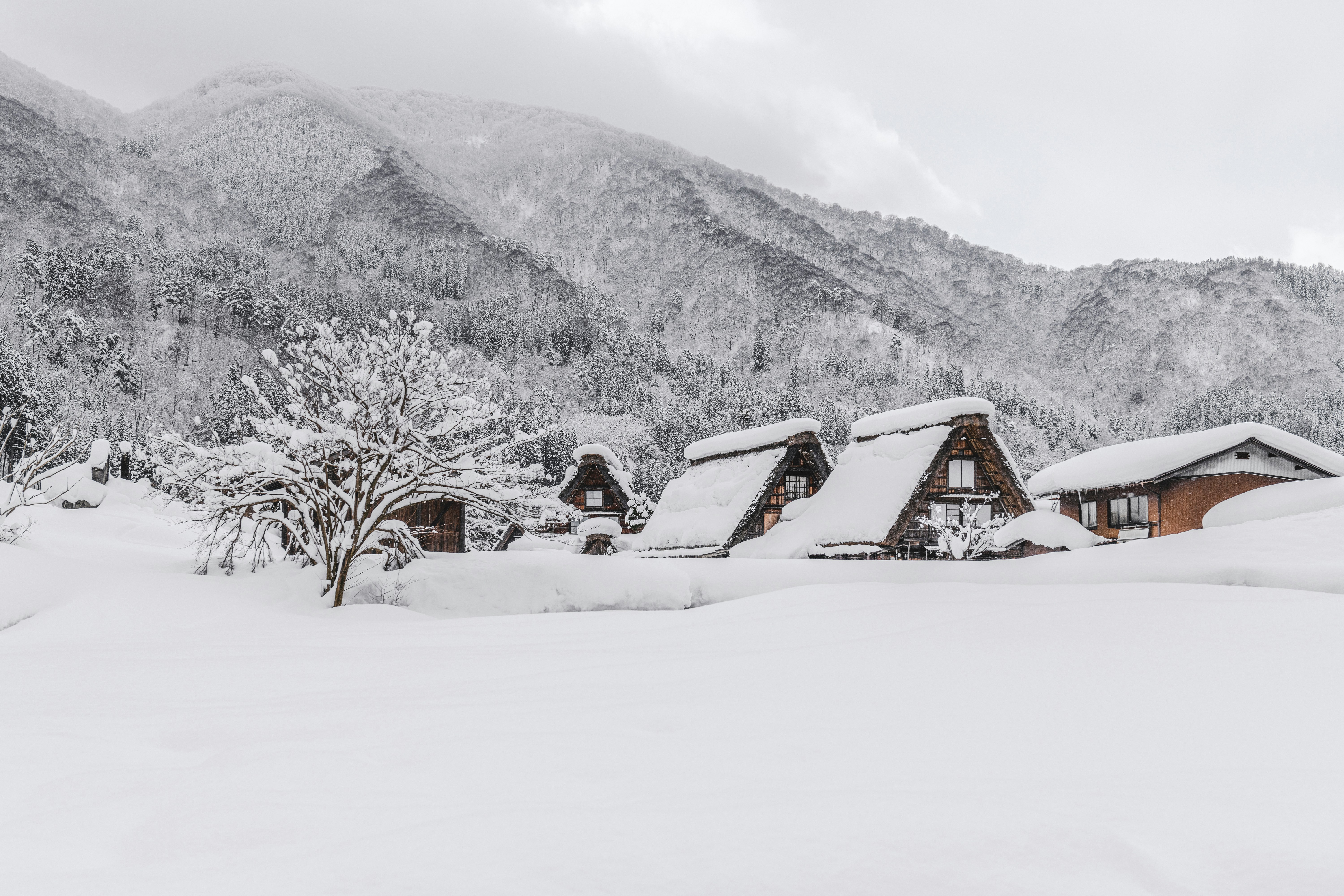 Nagano rural snowy trail and Shirakawa-go
