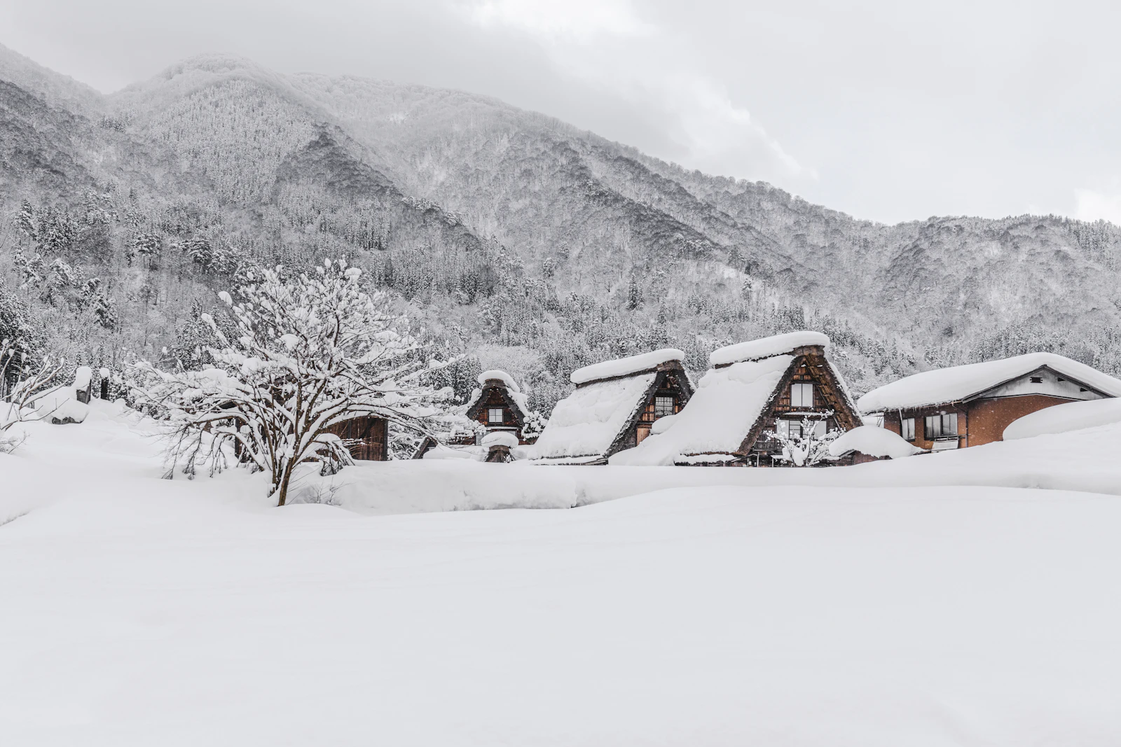 Shirakawago di tengah salju